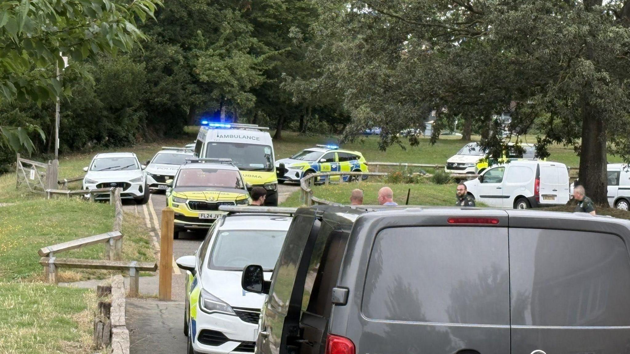 Seven emergency vehicles and a grey van are parked up on a road in the park.