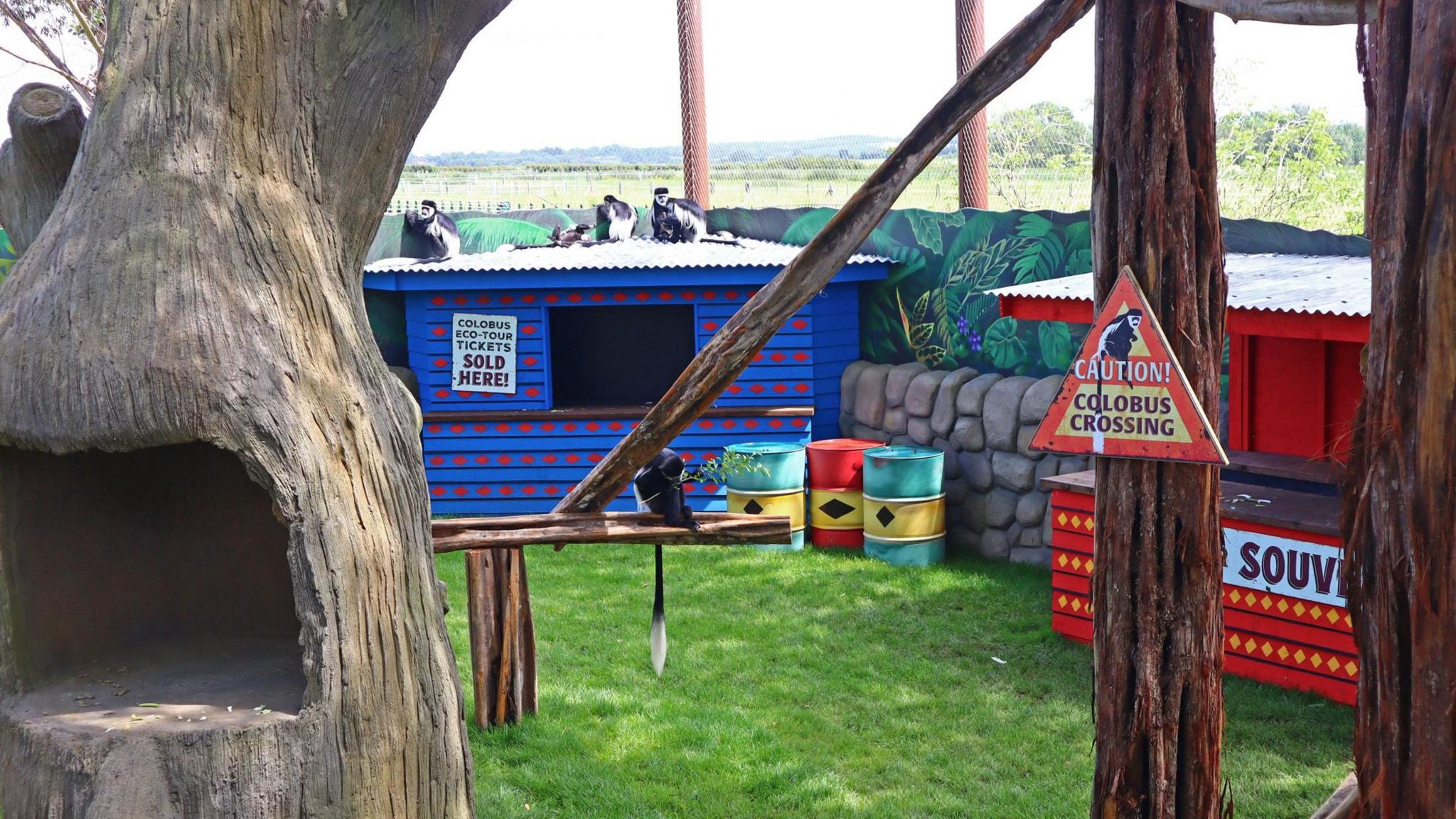 The monkeys sitting on top of a roof in their new enclosure