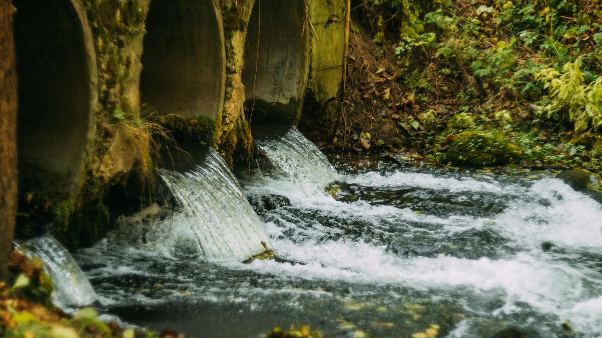 Water flowing out from concrete pipes into a natural stream through a forest.