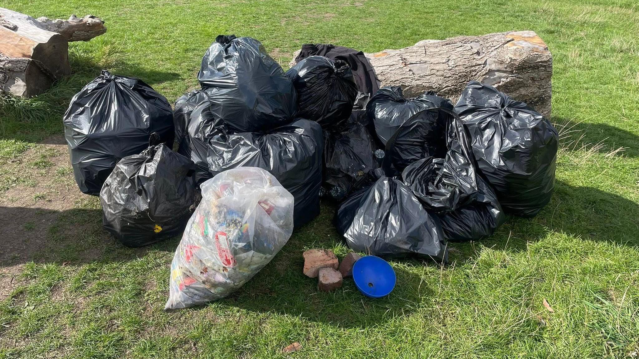 10 bags of rubbish propped against a log on a grassy background.