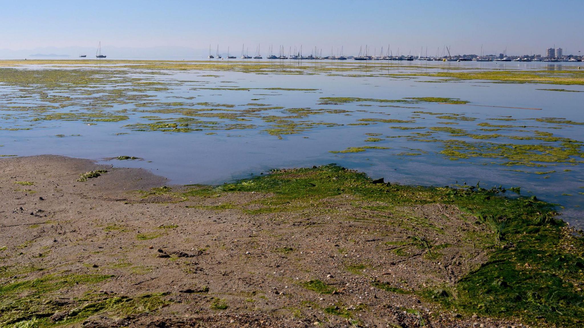 View of the salt water lagoon Mar Menor. Marina in the horizon. Beach and water with algae.