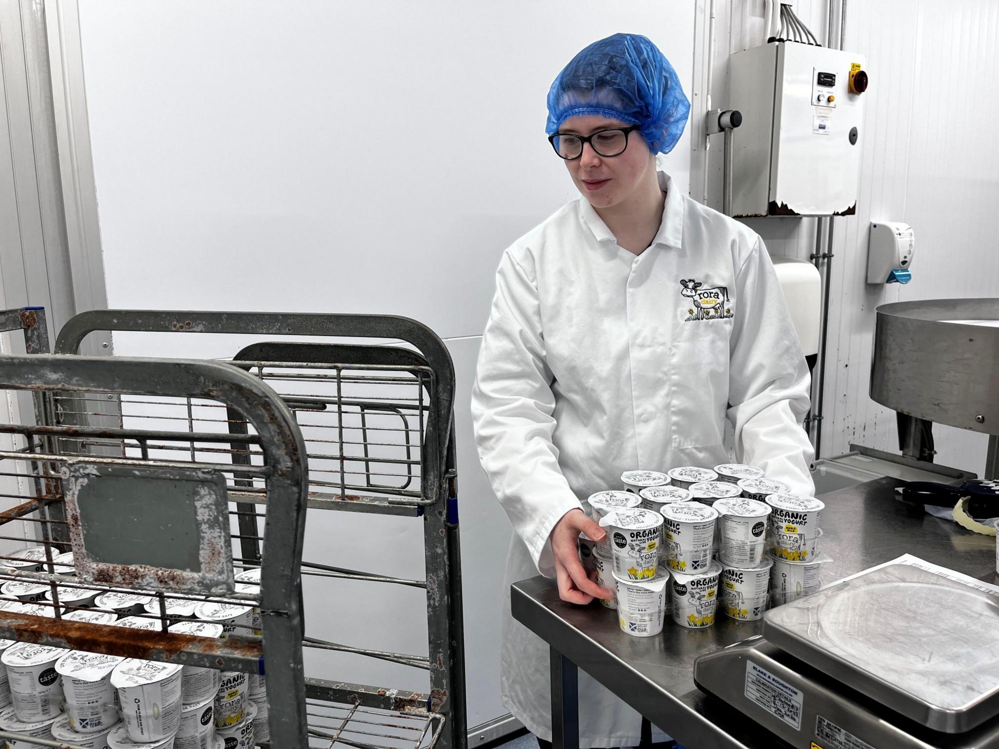 A worker in white overall and blue hairnet holds a tray of yogurts which she is about to place onto a trolley.