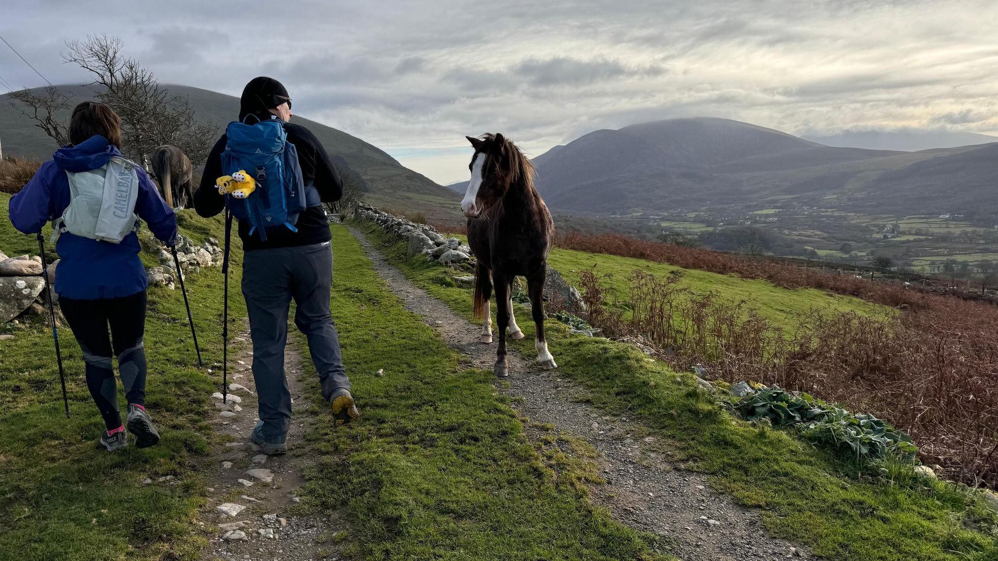 Aled yn mynd heibio ceffyl