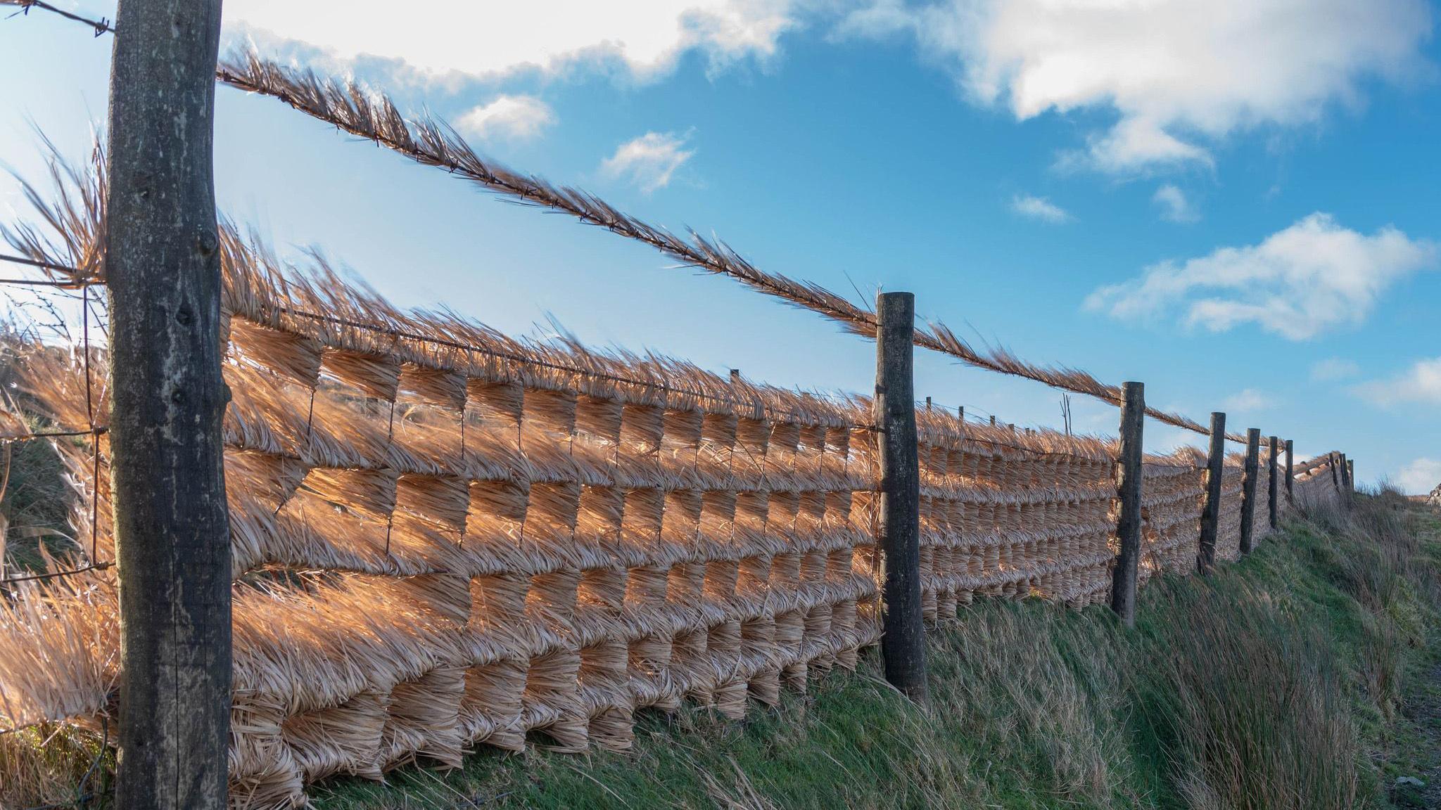 Wind blowing through a fence next to a field, blowing grass through the gaps.