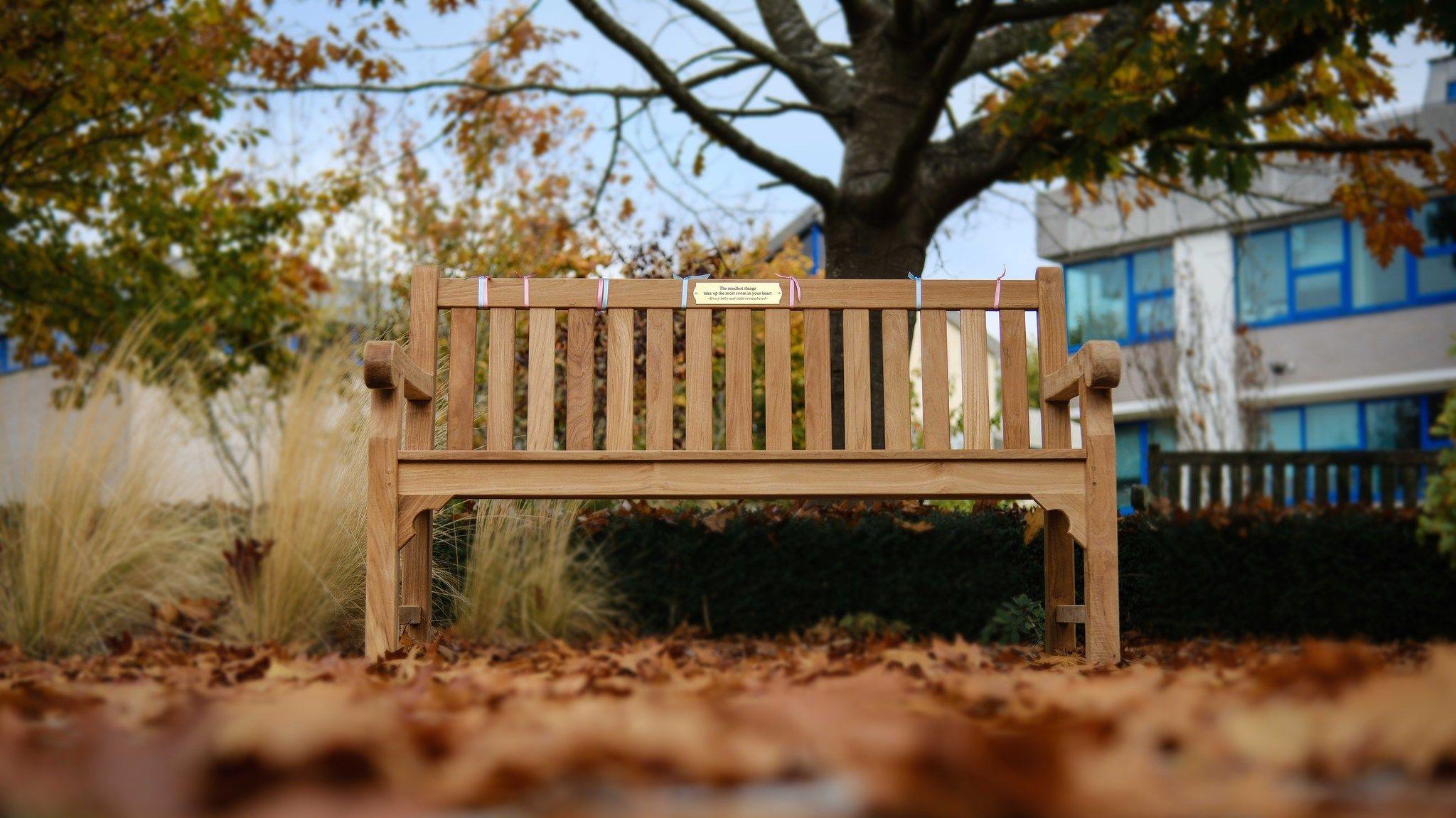 A wooden bench among fallen autumn leaves, backed by trees and a building with blue window frames. A plaque is mounted on the bench.