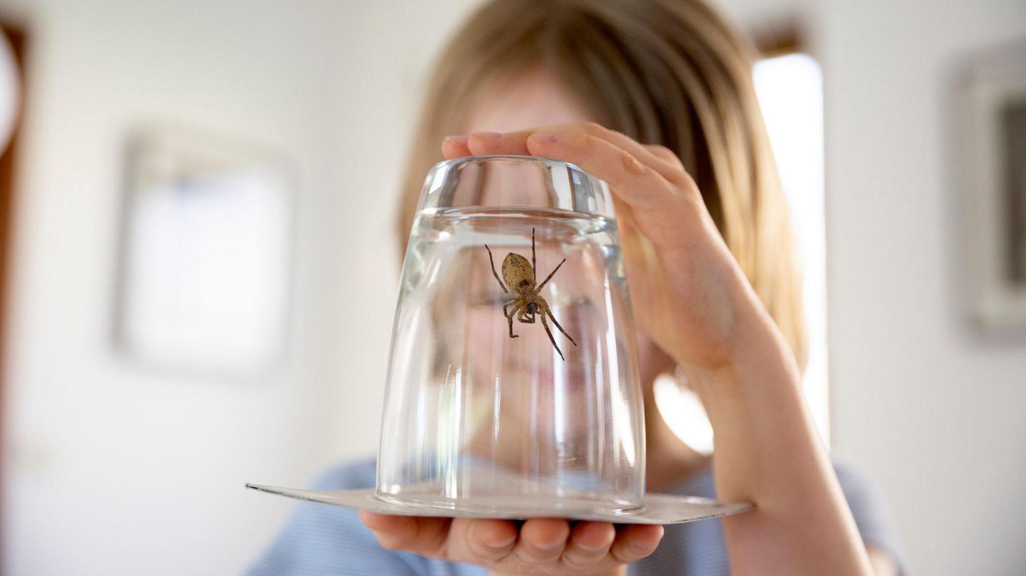 A girl holding a glass with a spider inside