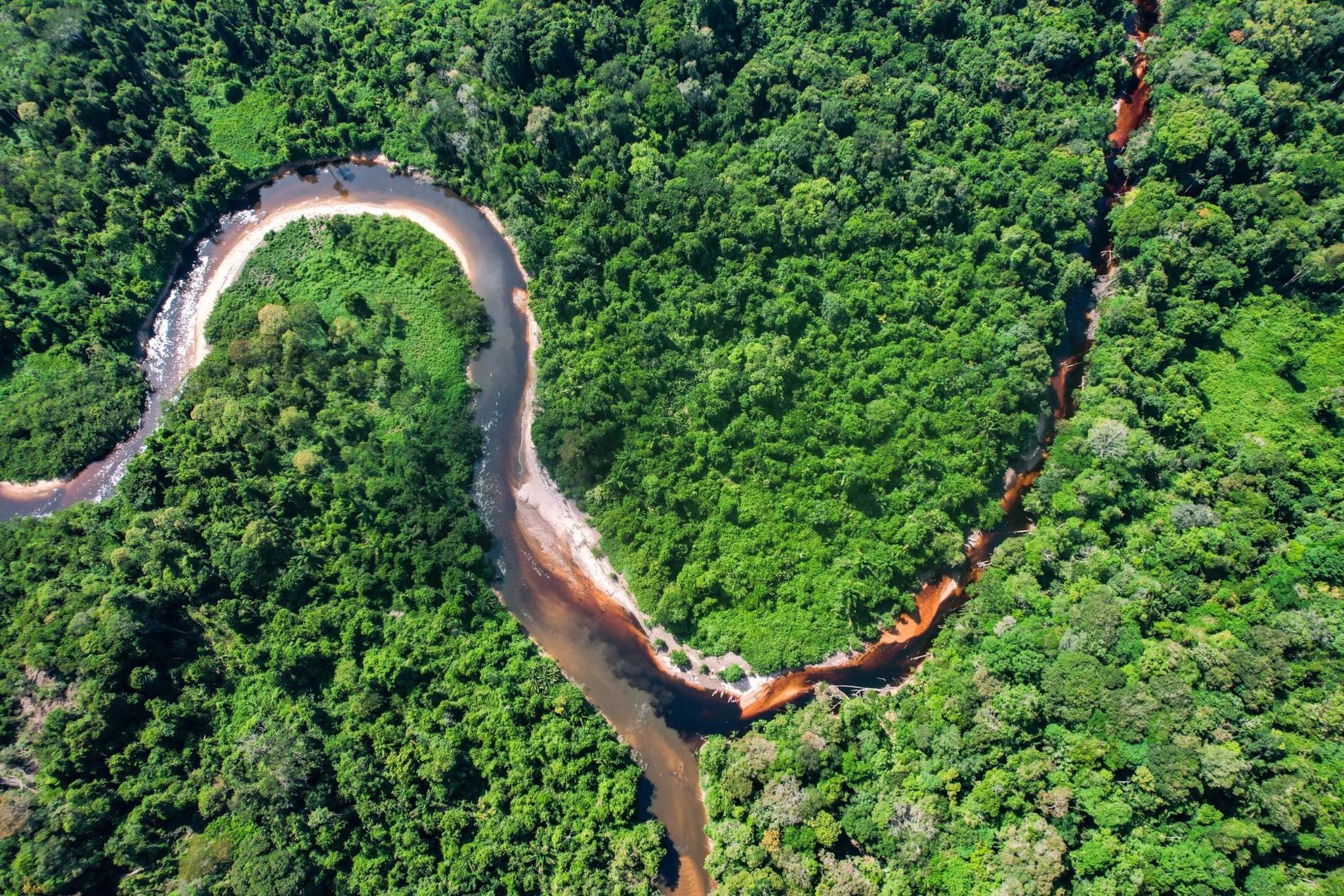 An aerial view of the rainforest and the Coppename river with two big bends as it runs through the dense, green forest