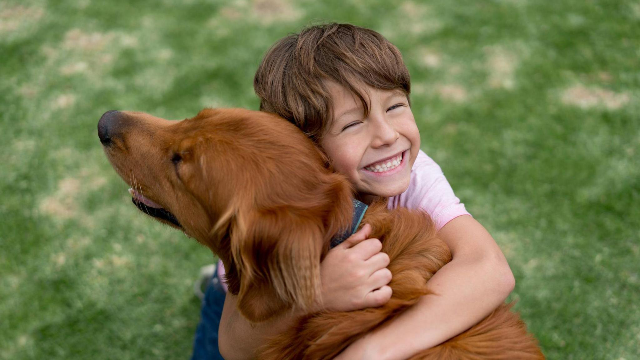 a child hugging a brown dog