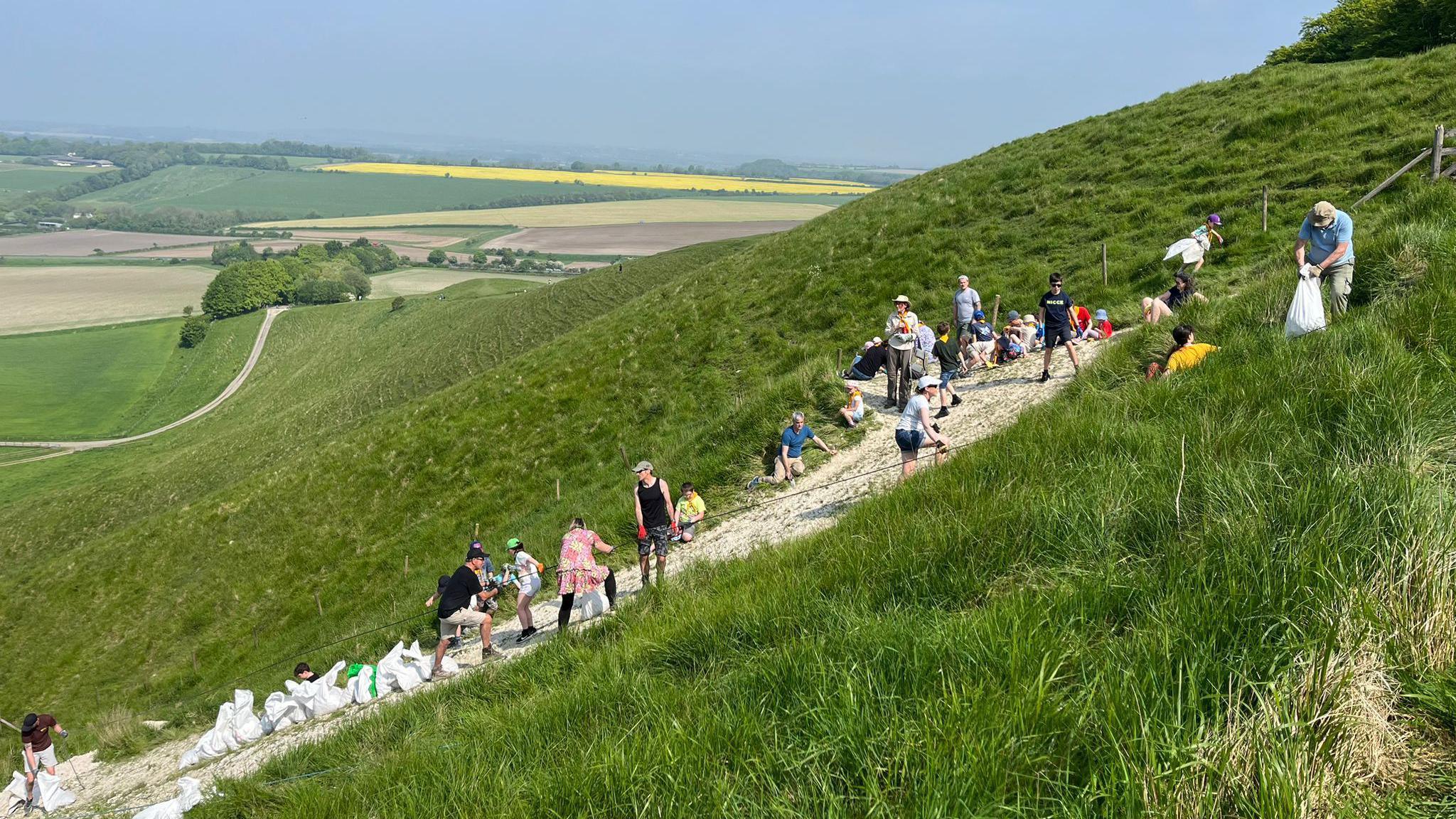 A group of people re-chalking the Cherhill Horse