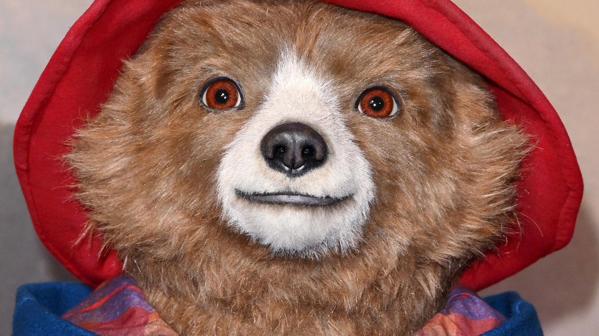 Close-up of Paddington Bear's face as he gazes wistfully above the head of the viewer. He is wearing a red hat and blue duffle coat