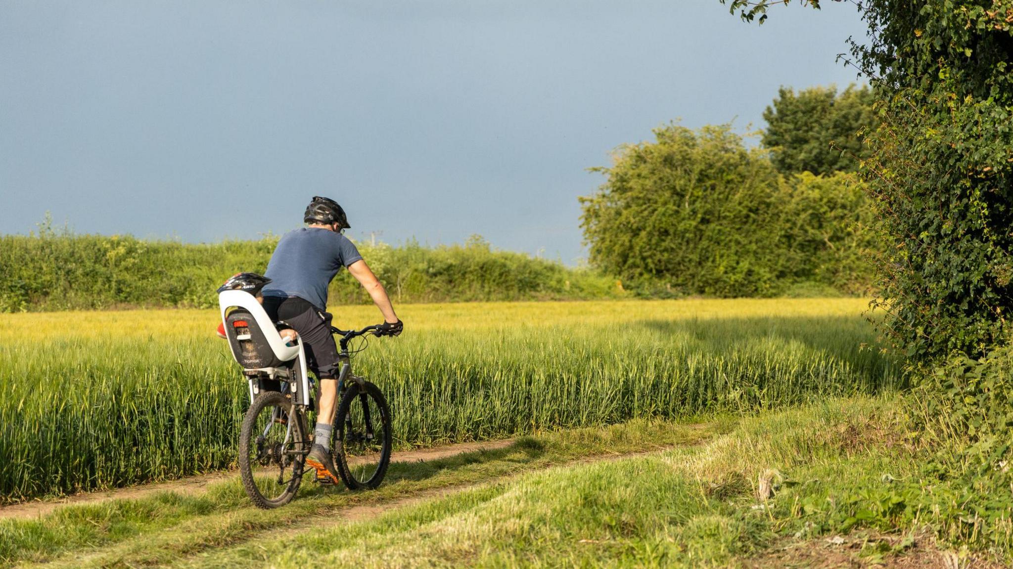 A cyclist pictured from behind on a grassy footpath on a sunny day in the countryside, bordering a field growing wheat. The male cyclist is wearing a grey top, black shorts and black helmet. A child sits in a white seat on the back of the bike, wearing a black helmet. The child's face is not visible.