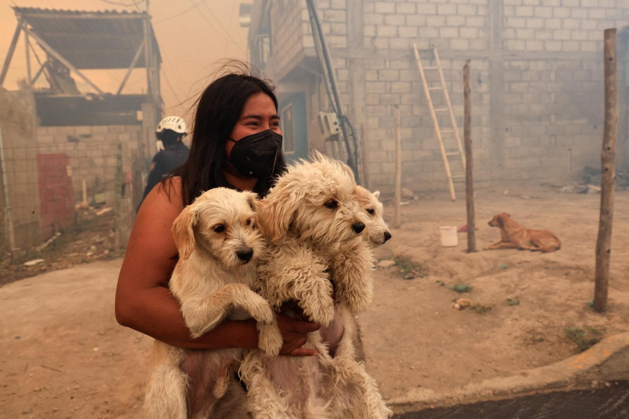 A woman carrying dogs looks on amid smoke from wildfires