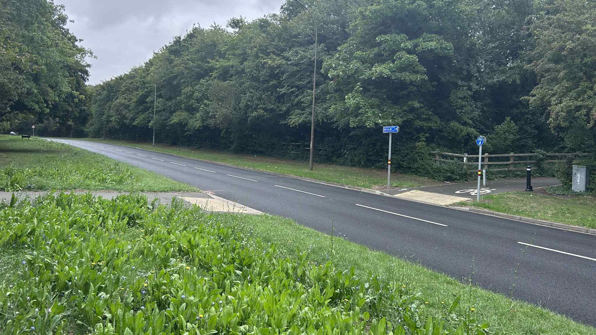 A road with verges and green trees on both sides, and a cycle path/pedestrian path on the far side with blue signs.