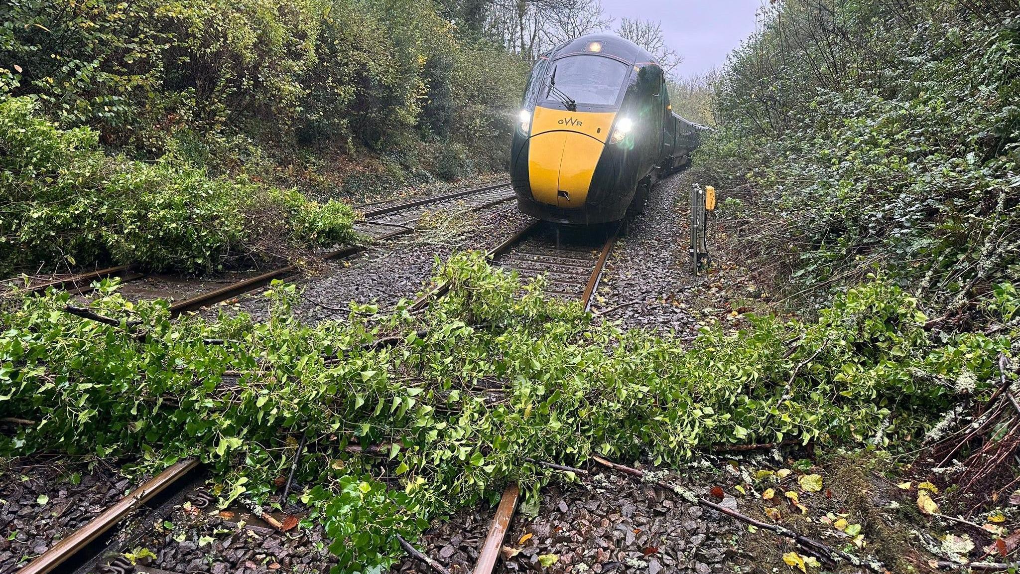 A GWR train is seen stopped on a line in Devon as there are fallen tree branches in front of it