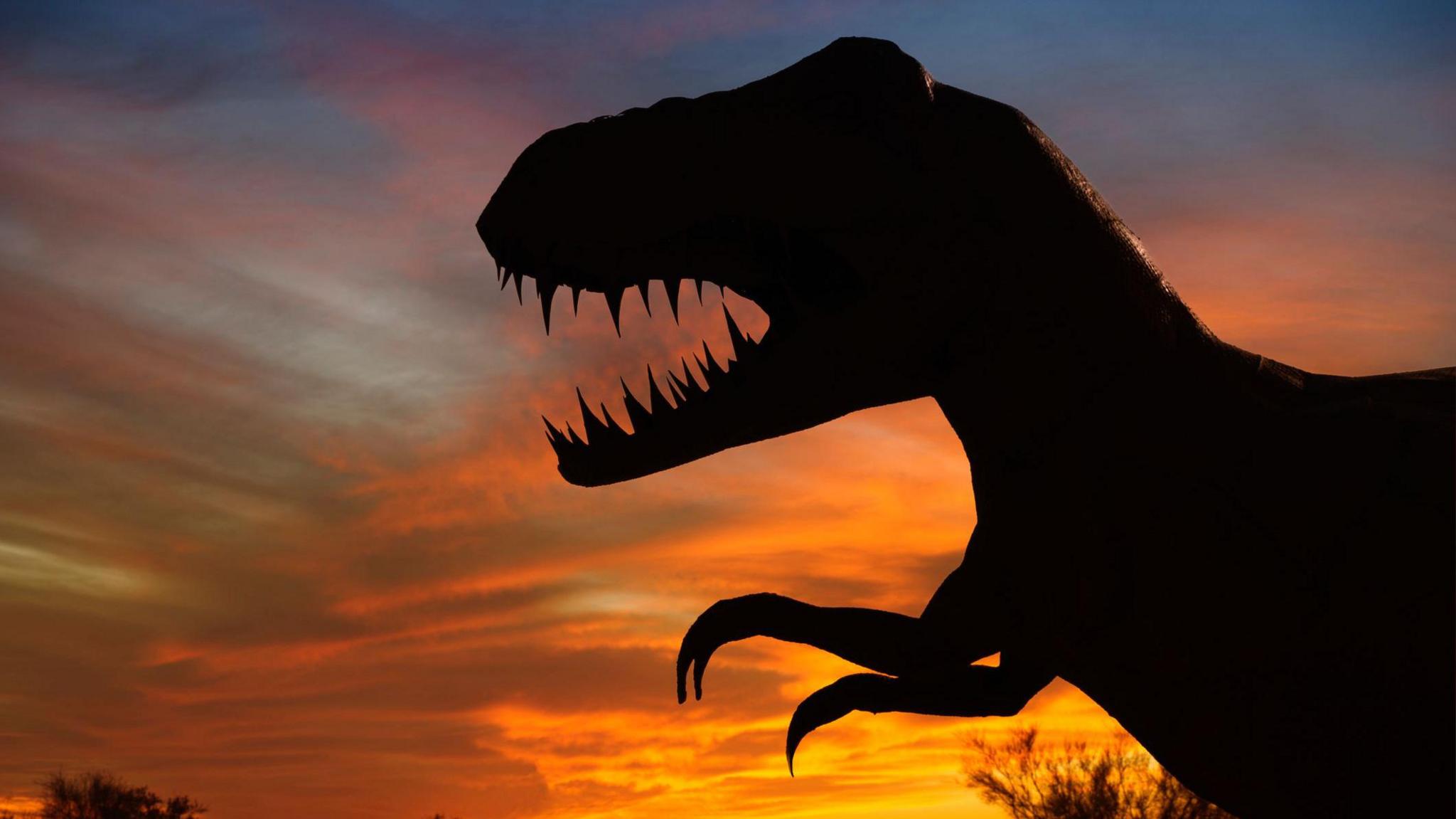 T. rex shadow against an orange sky