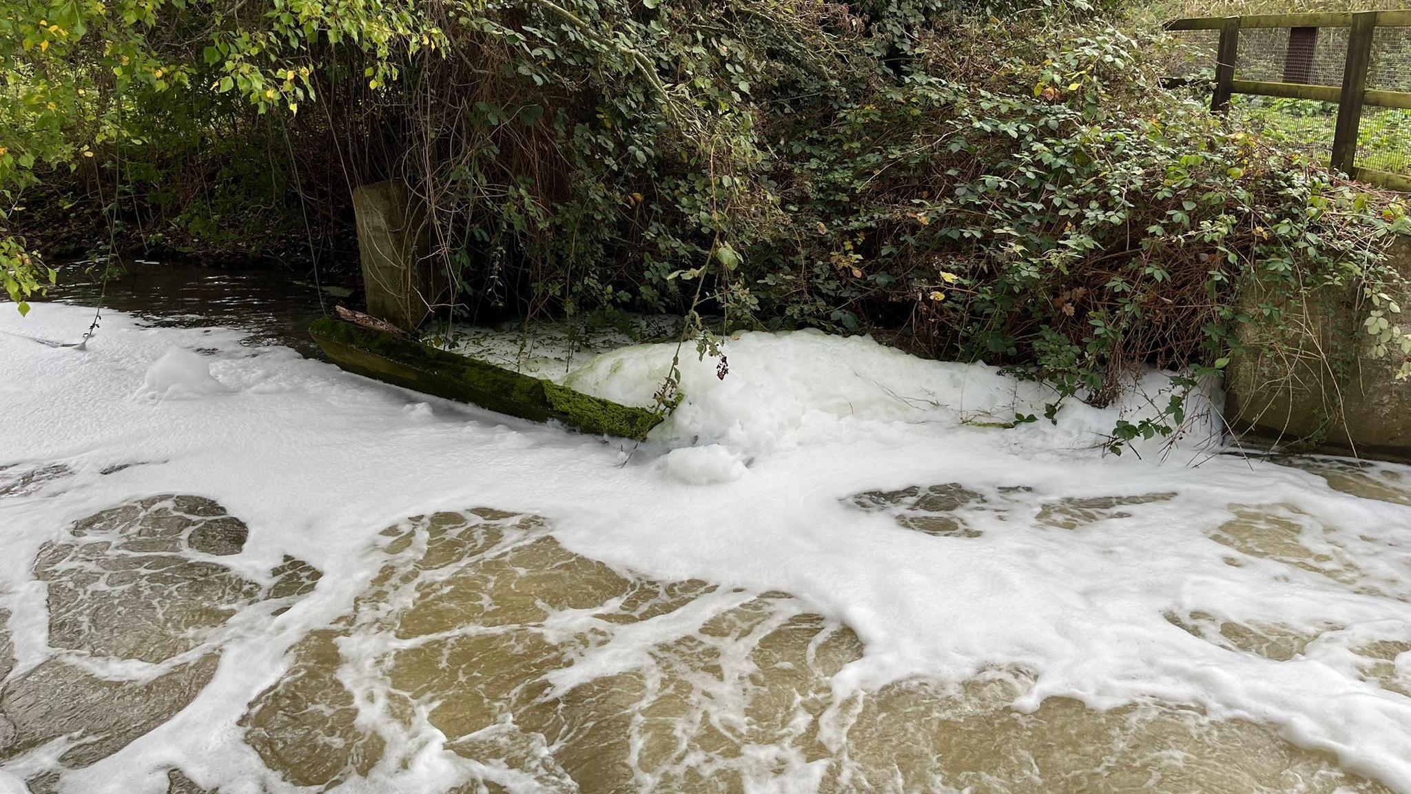 Another view of the river where large quantities of white foam sit on the surface. Vegetation lines the river and some wooden planks can be seen near the edge. 