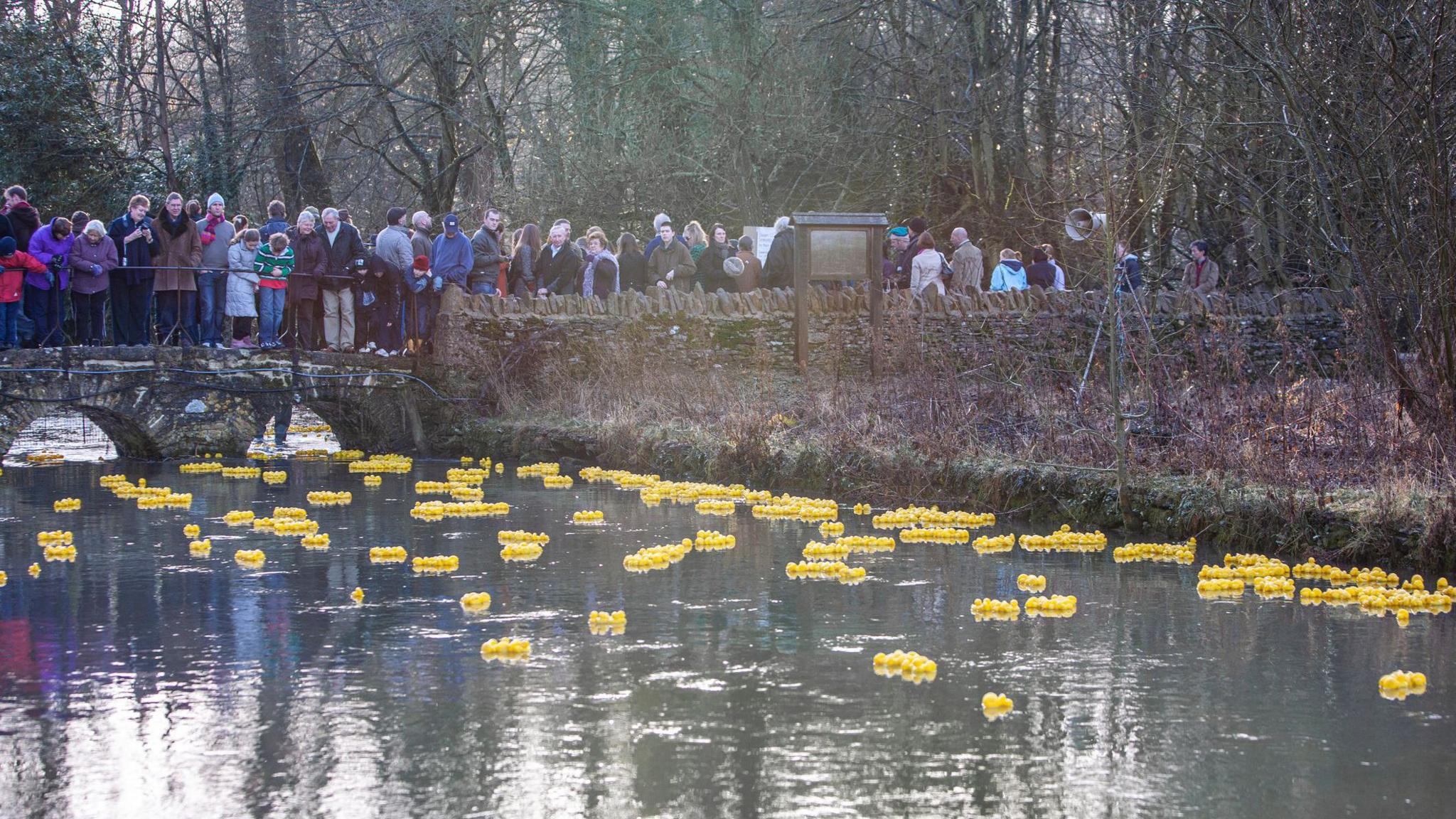 Hundreds of yellow rubber ducks floating down a river with a crowd of people standing on a bridge watching