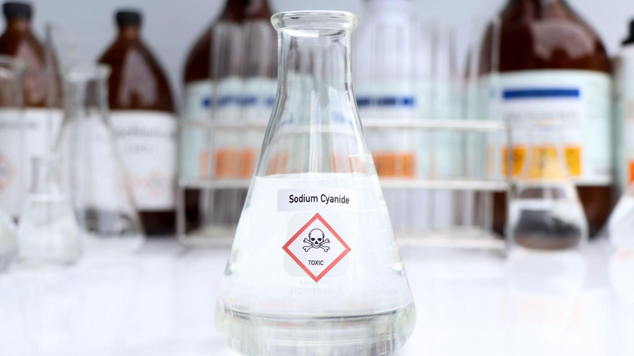 A glass laboratory flask half full of a white-coloured solution with a label that reads Sodium Cyanide and a warning label with the word toxic and an image of a skull and cross-bones