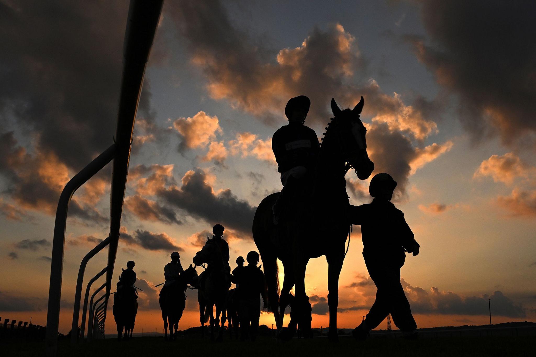 Runners and riders are led into the stalls for the 6th race, the Tips For Every Race At raceday-ready.com Handicap, at Brighton Racecourse in Brighton, England. Photo by Mike Hewitt