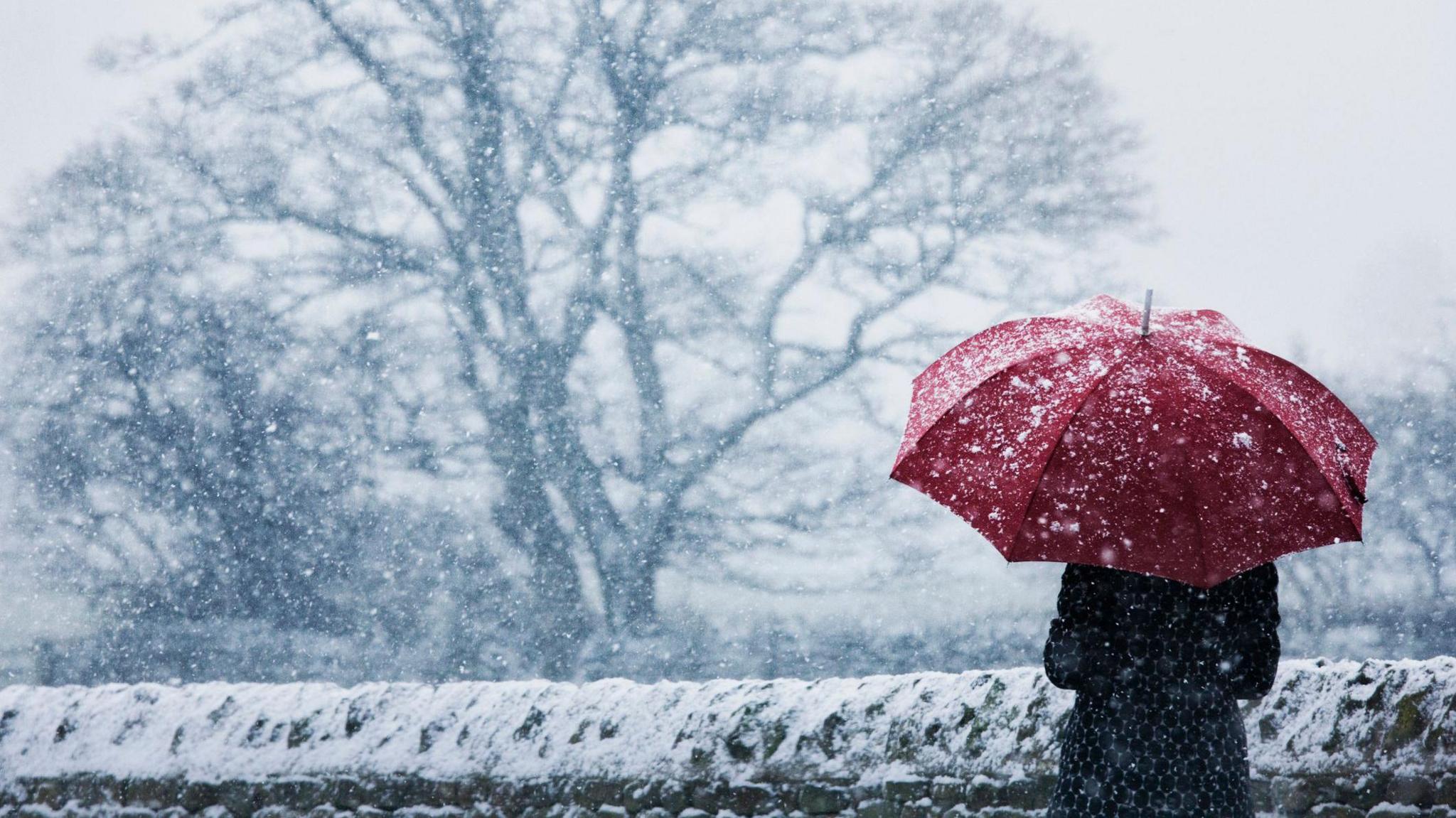 A person standing in a snowy landscape holding a red umbrella