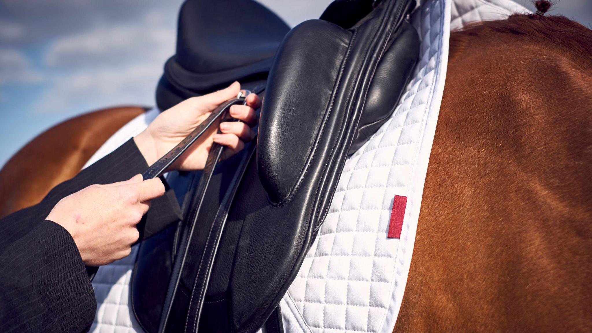 A black saddle being attached to a brown horse. A person is holding the saddle while wearing a navy blue top.