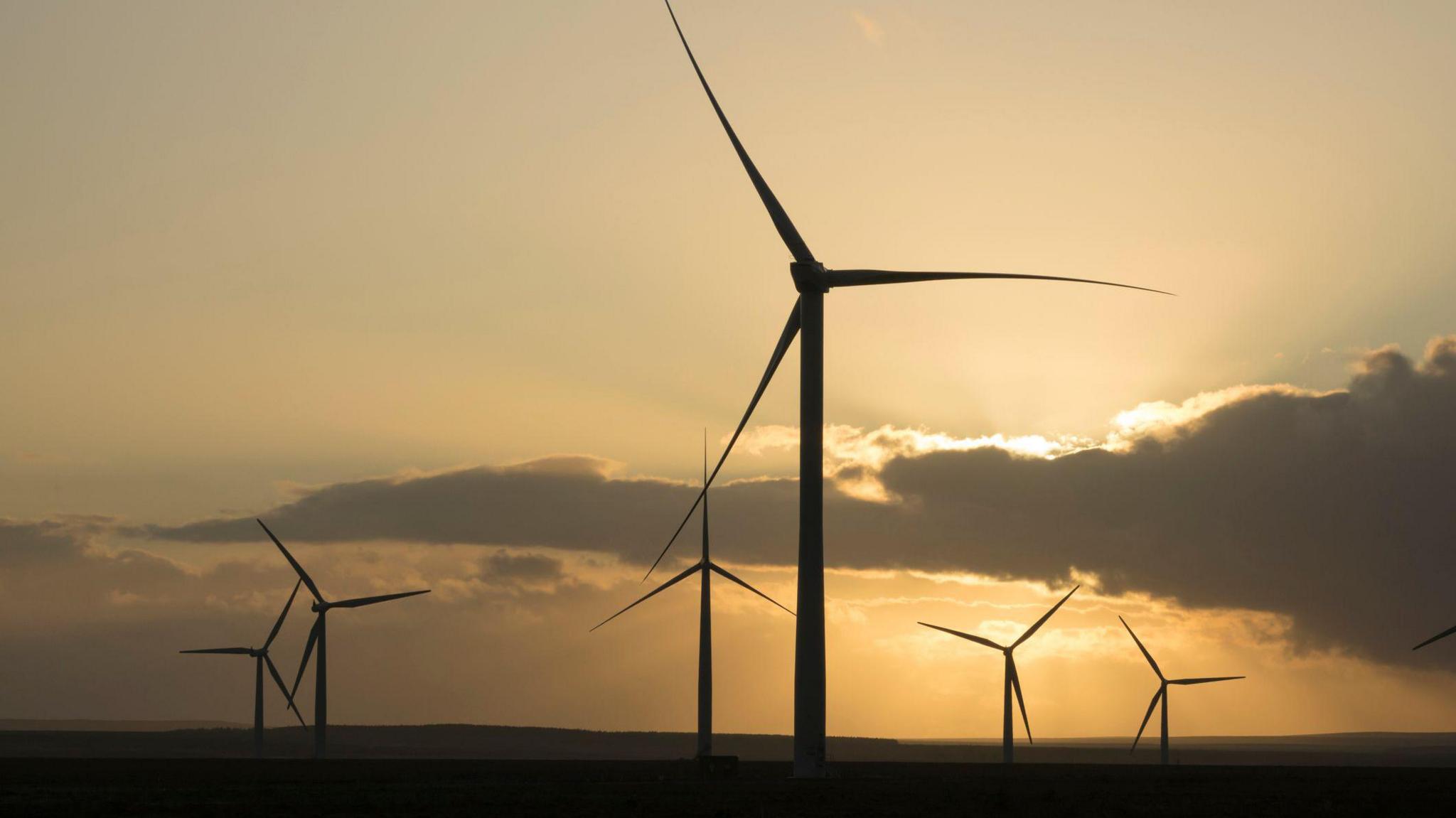 Sia crainn aig tuath-gaoithe air talamh còmhnard leis a' ghrian a' dol fodha