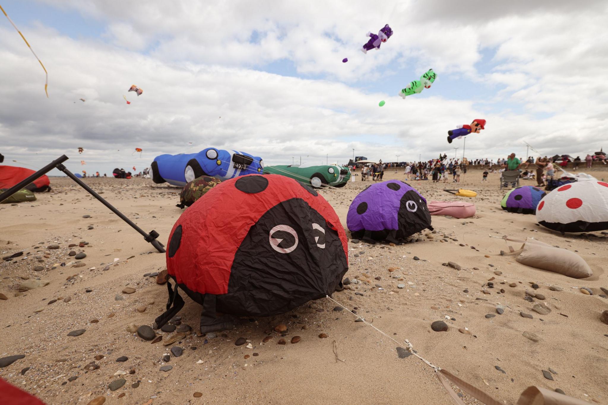 An array of low flying kites from a red and a purple ladybird to cars and Mario can be seen flying in the background.