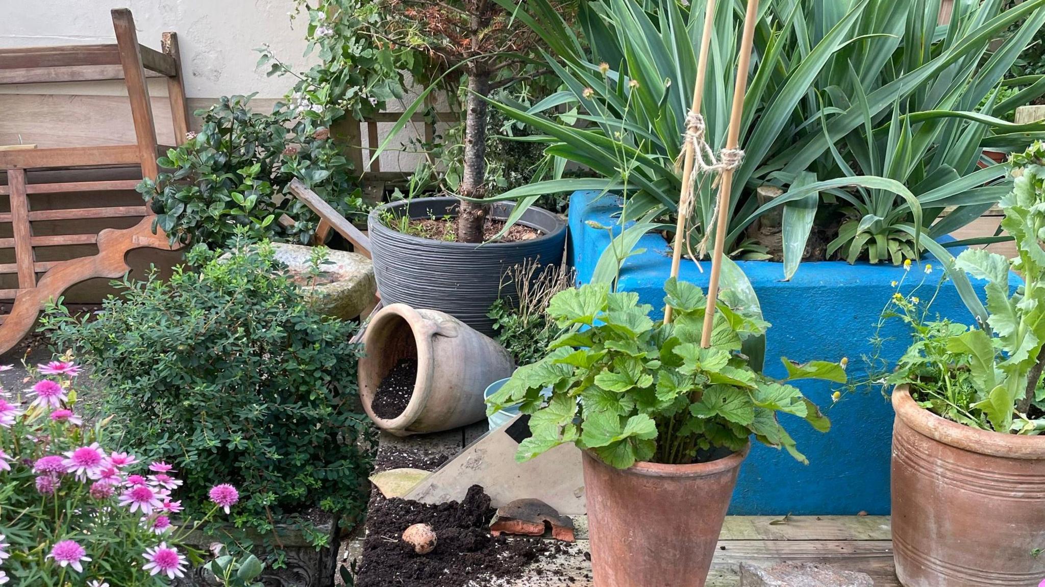 An overturned bench and smashed pot with soil spilling out in the garden