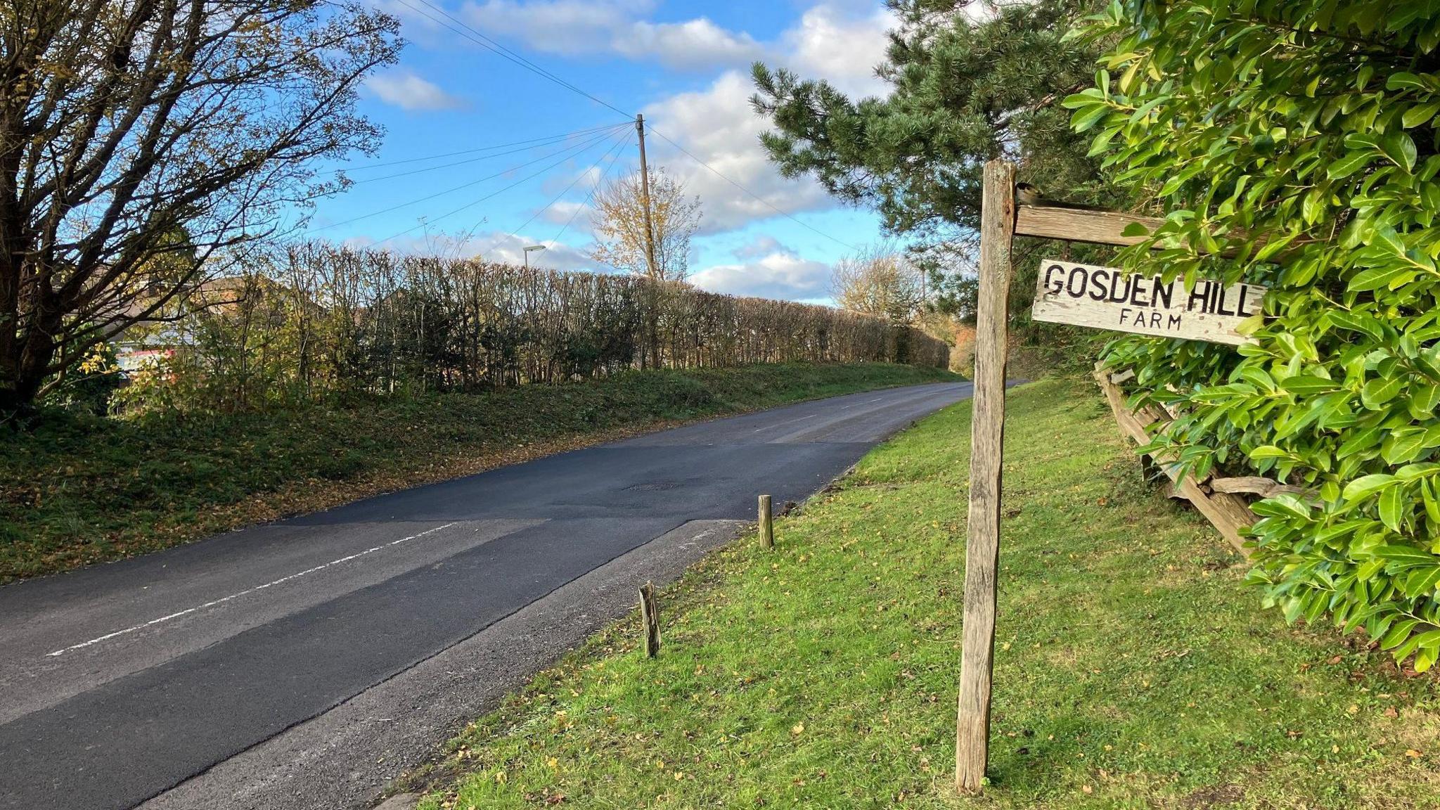 Sign for Gosden Hill Farm on Merrow Lane. It is a country lane with a grass verge and greenery on either side of the road.