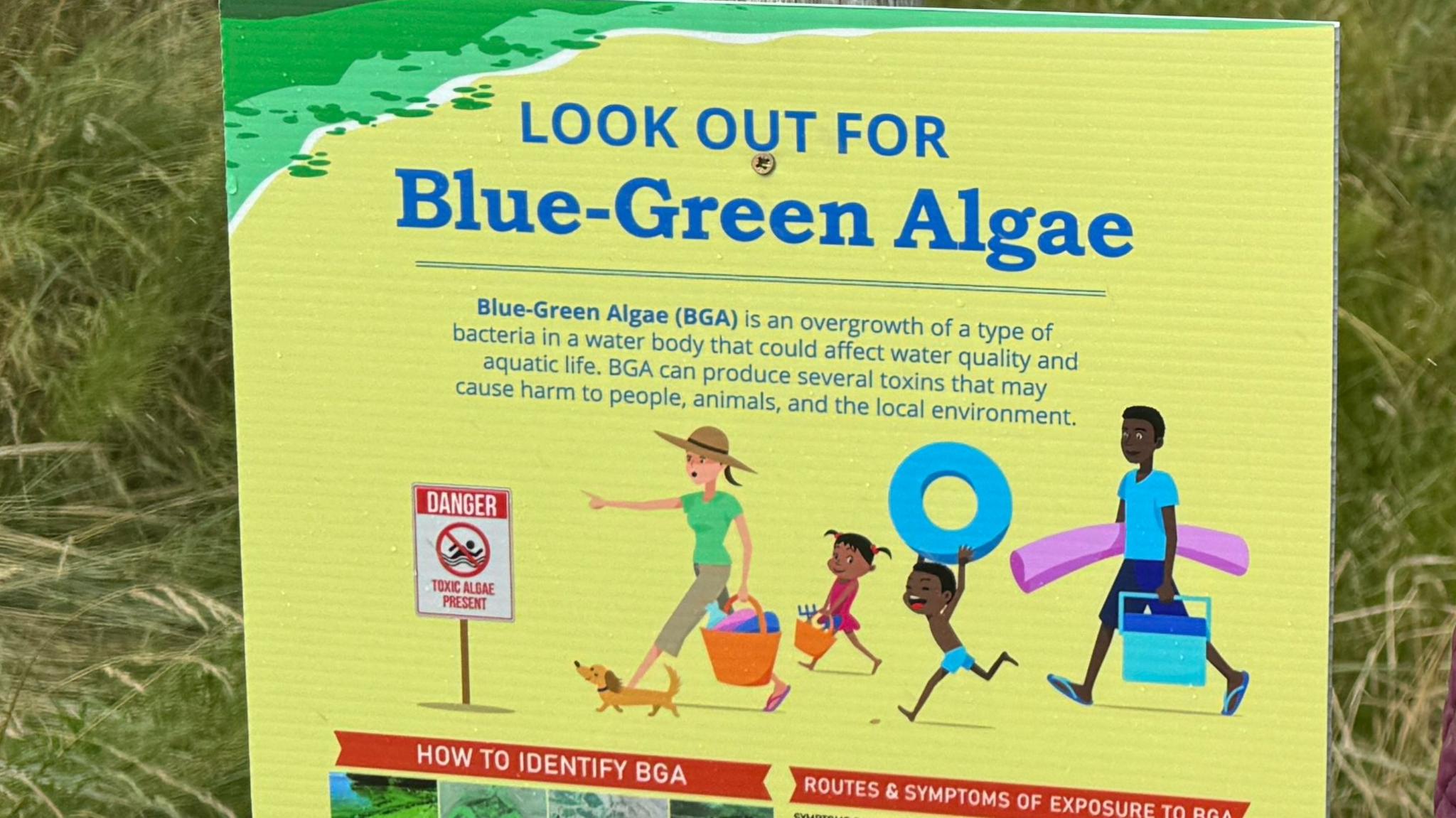 A sign warning bathers at Castlerock about blue-green algae