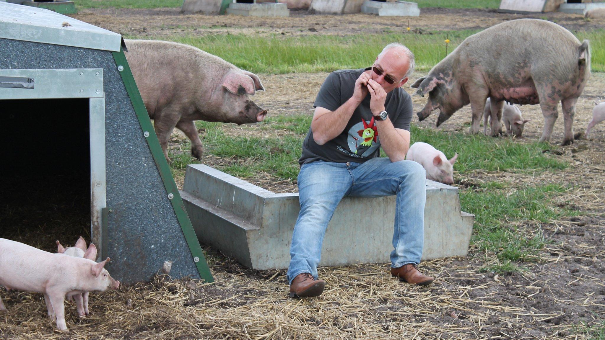 Mark Hayward, Suffolk pig farmer