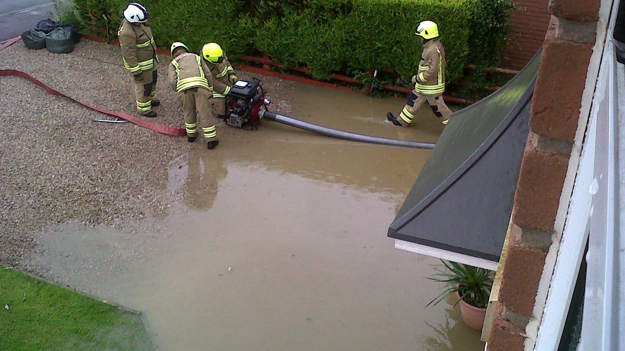 Front garden at Kerry, near Newtown