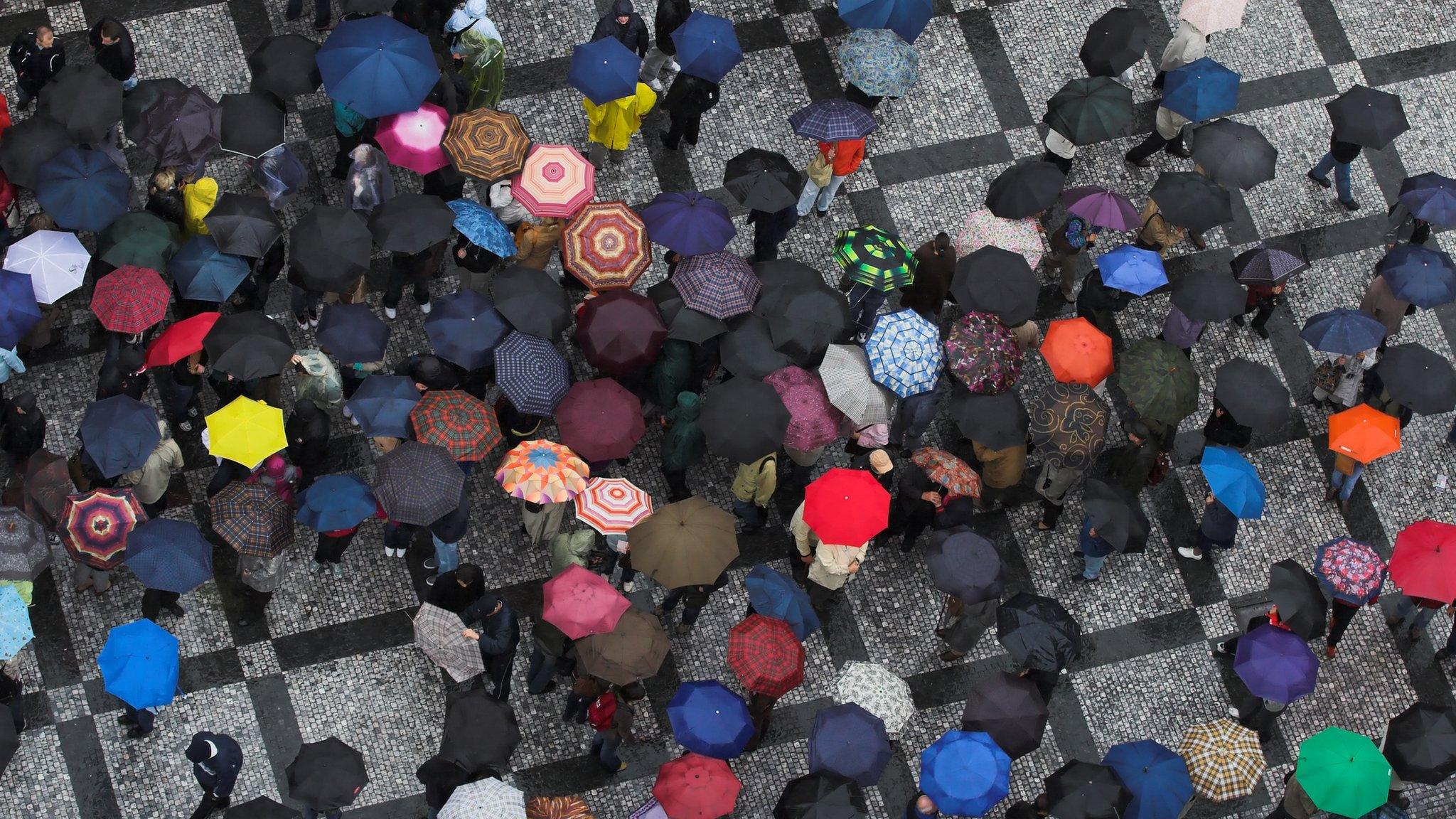 Umbrellas from above