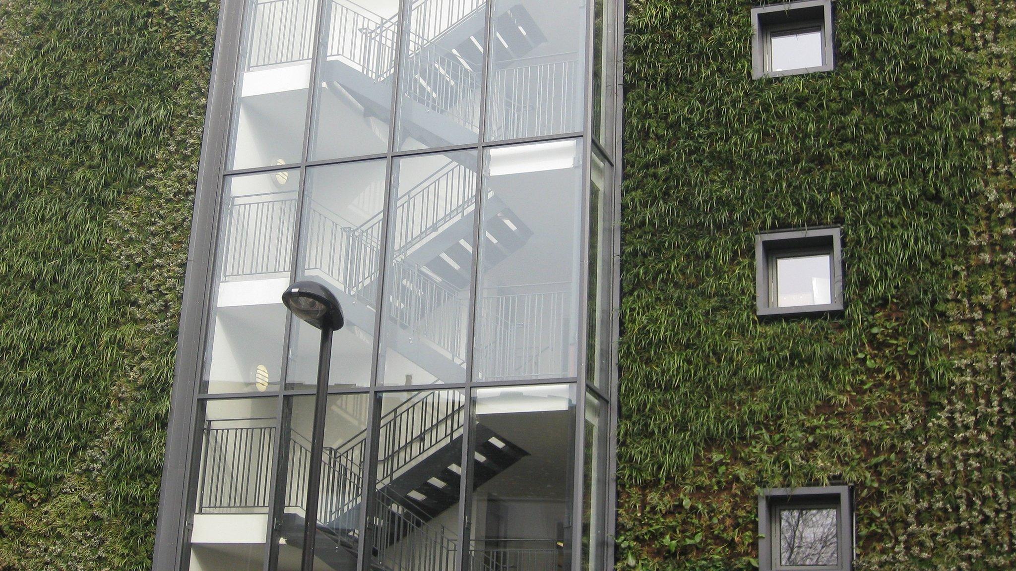 Green Wall (Image: ANS Systems)