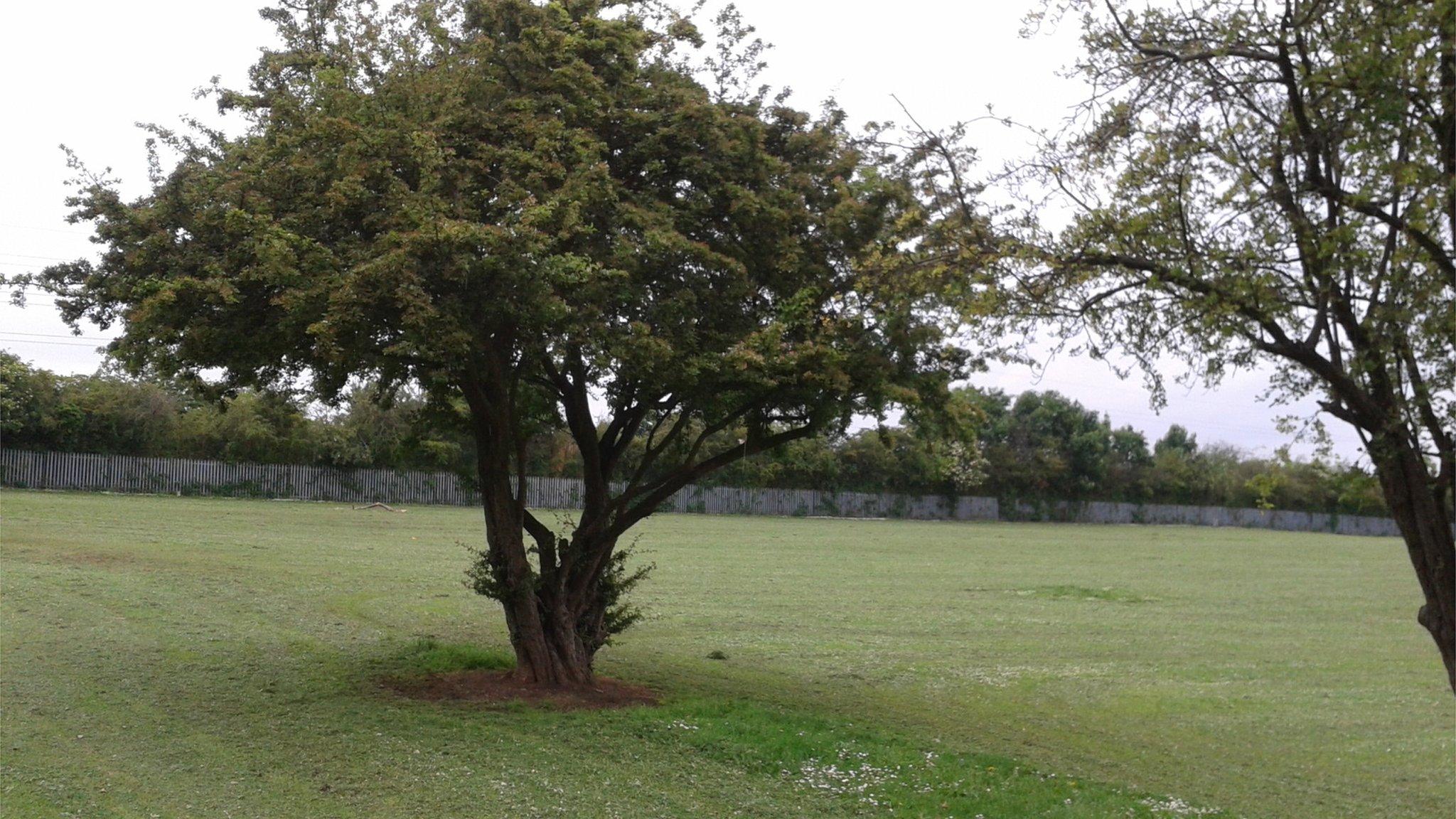 Land at Ickley Close