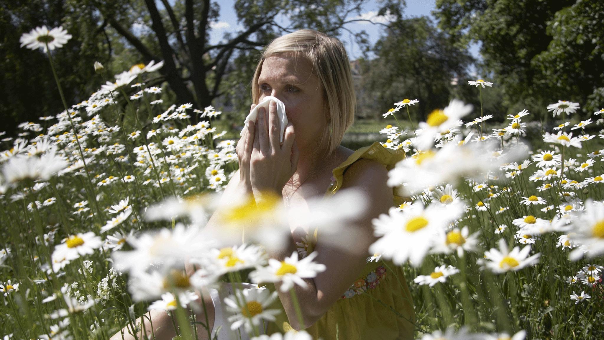 Woman sneezing in a field of flowers