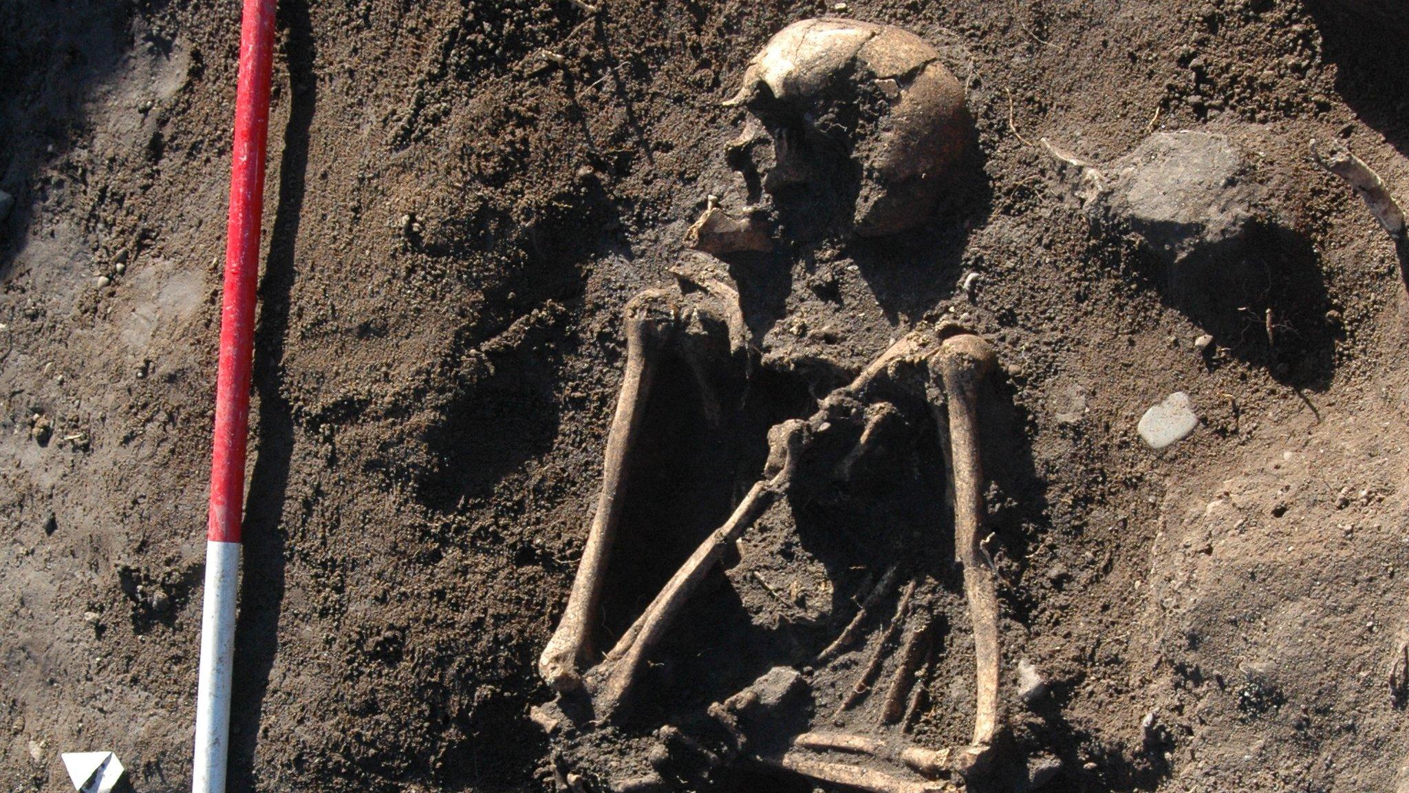 Skeleton found at Llanbedrgoch, Anglesey