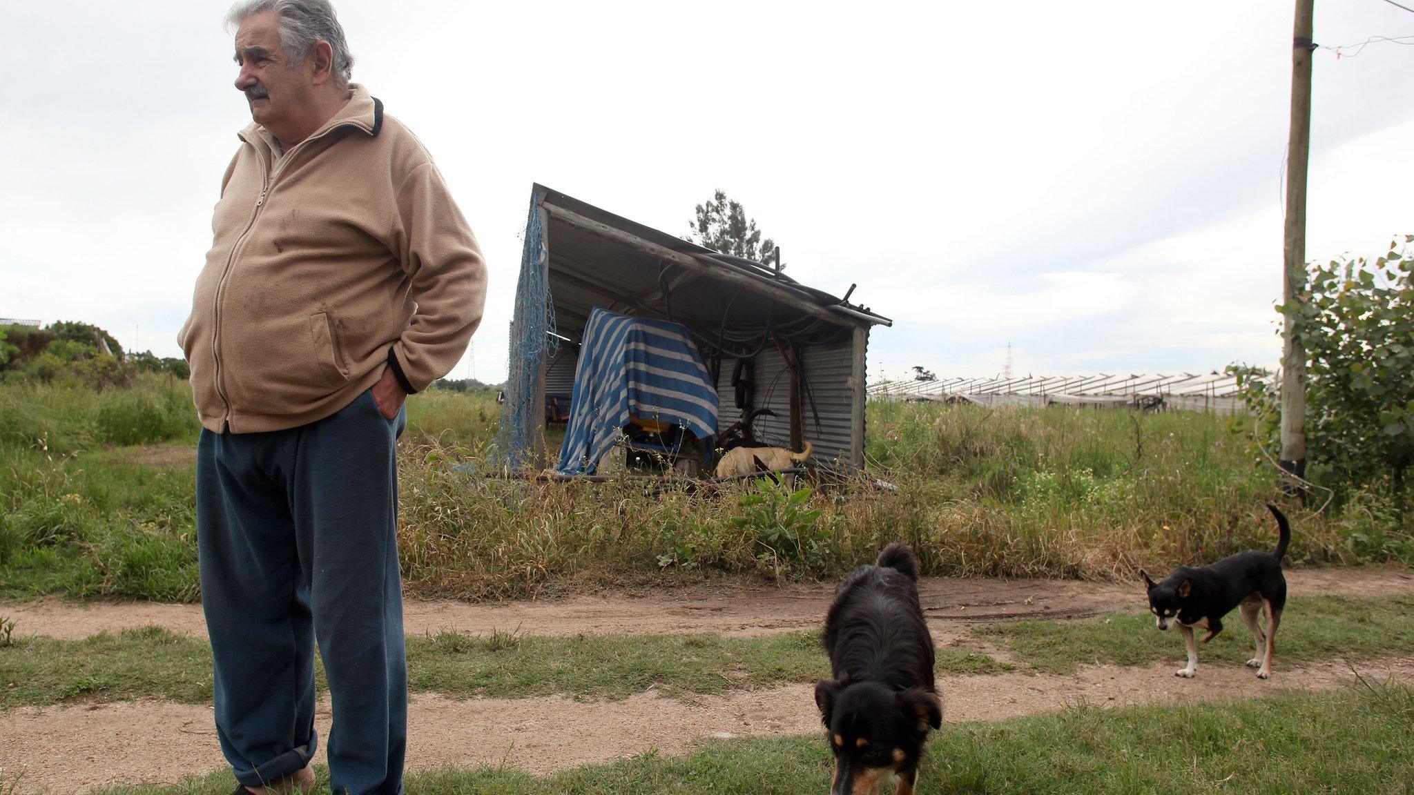 Jose Mujica and his dogs outside his home