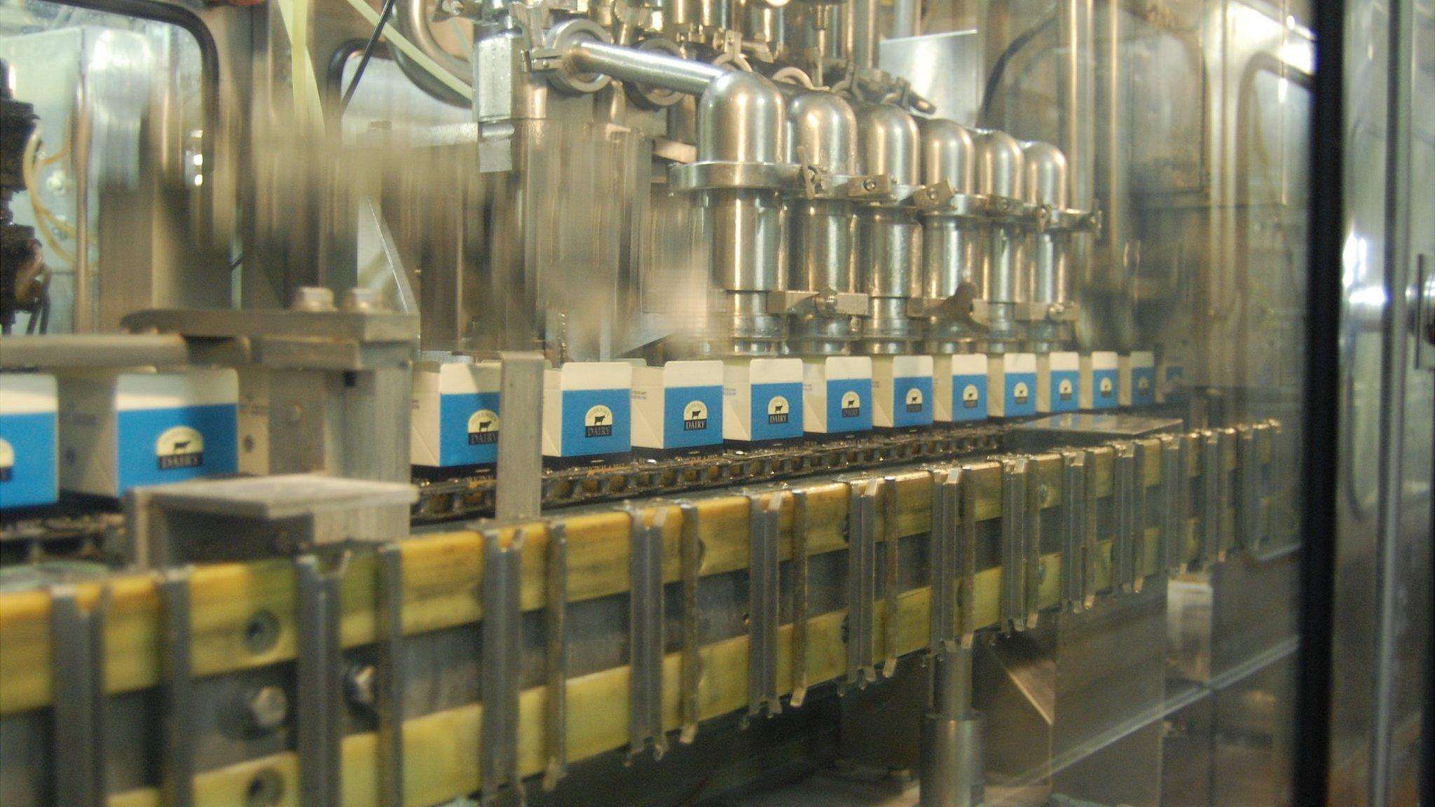 Milk cartons being filled in the Guernsey Dairy