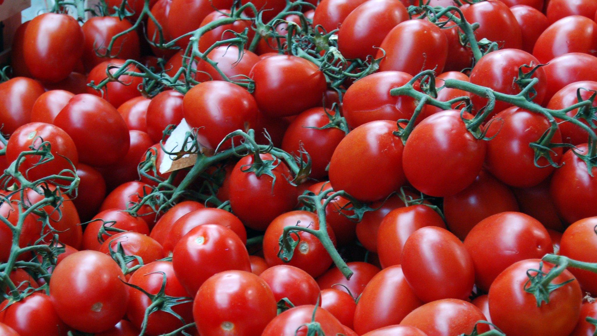 Tomatoes