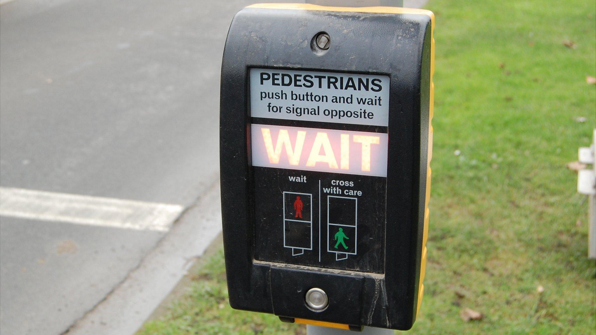 Pedestrian crossing signal