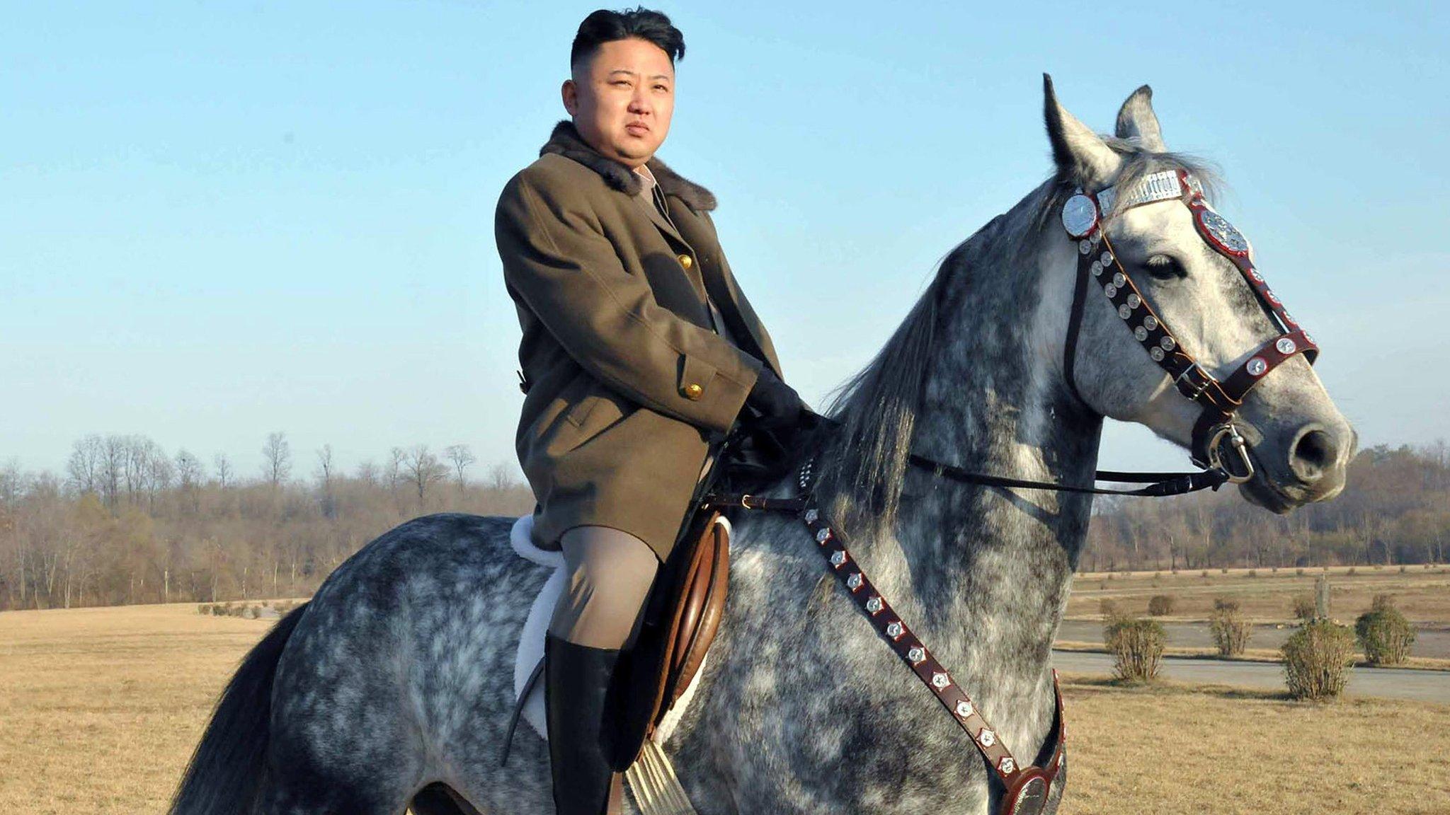 Photo of Kim Jong-un released by North Korea's official Korean Central News Agency (KCNA) on 20/11/12