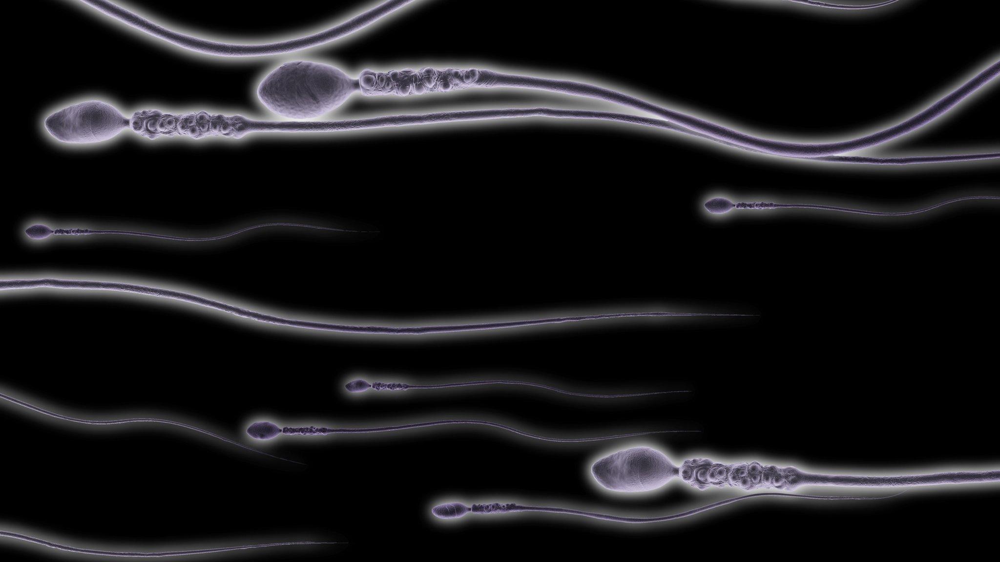 sperm