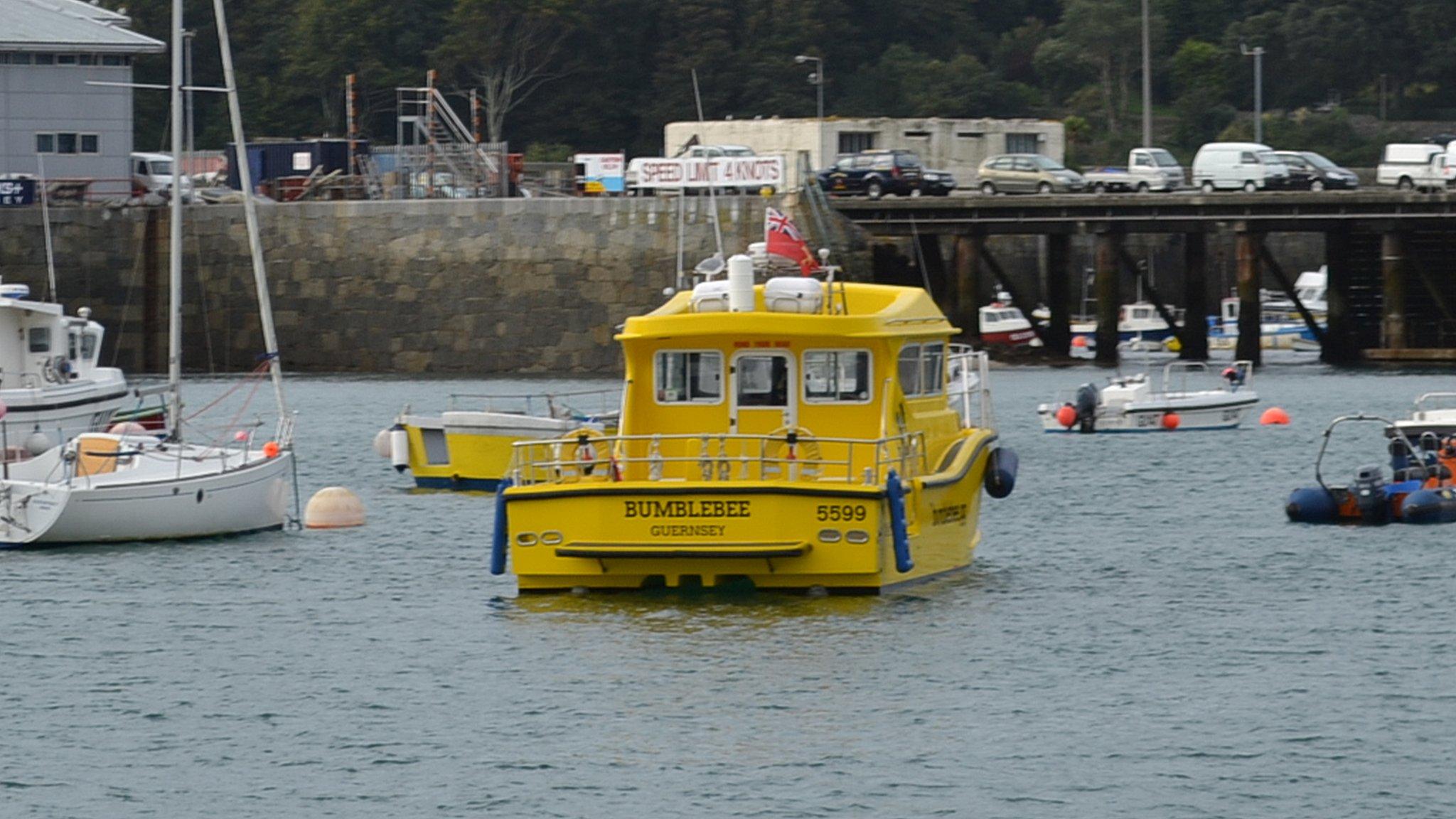 Bumblebee's catamaran