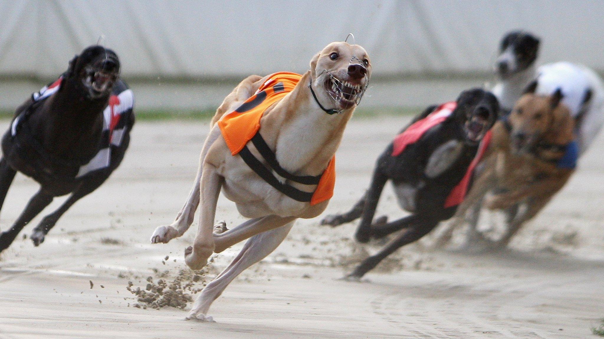 Walthamstow Greyhound Stadium