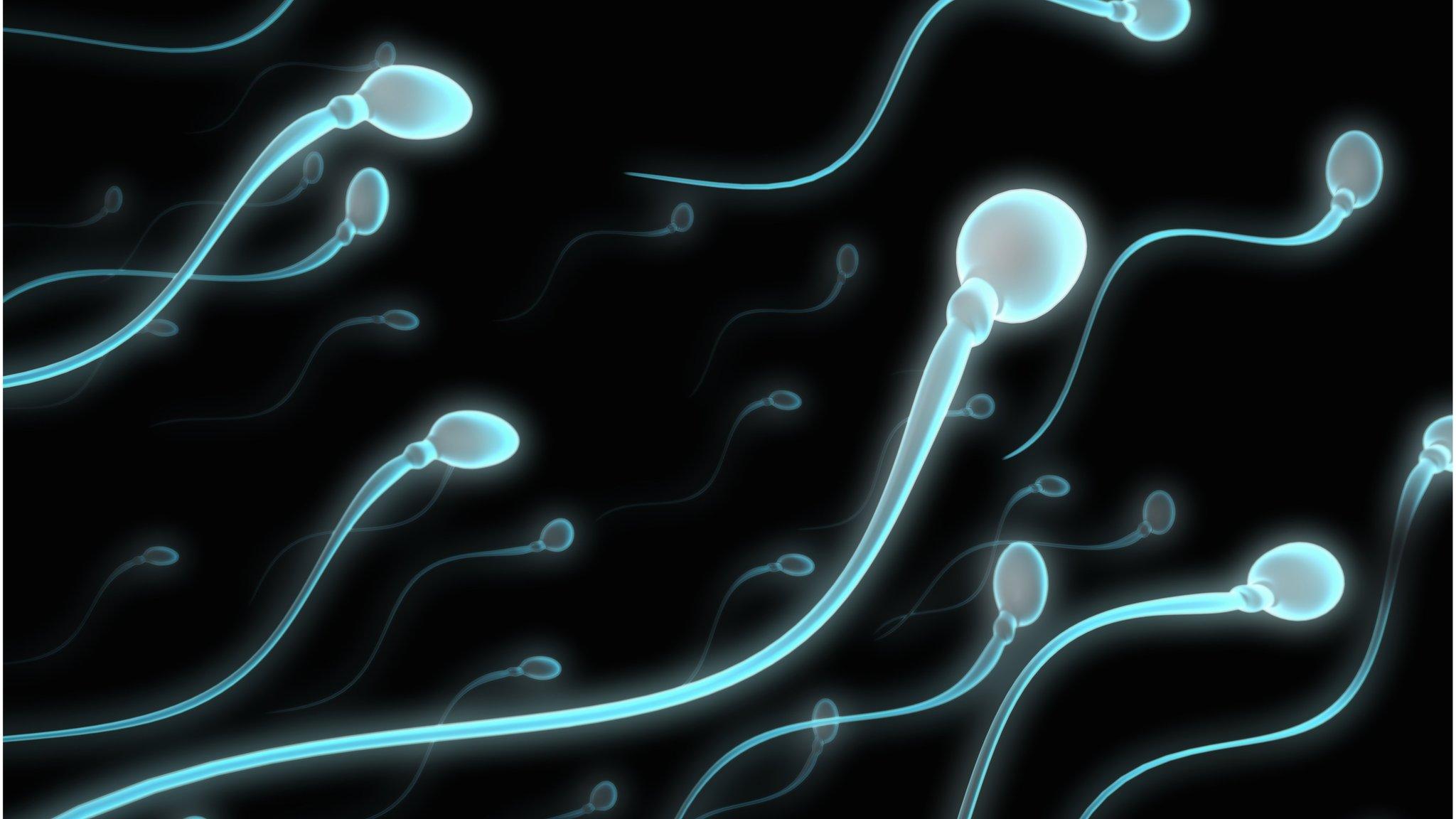 Sperm