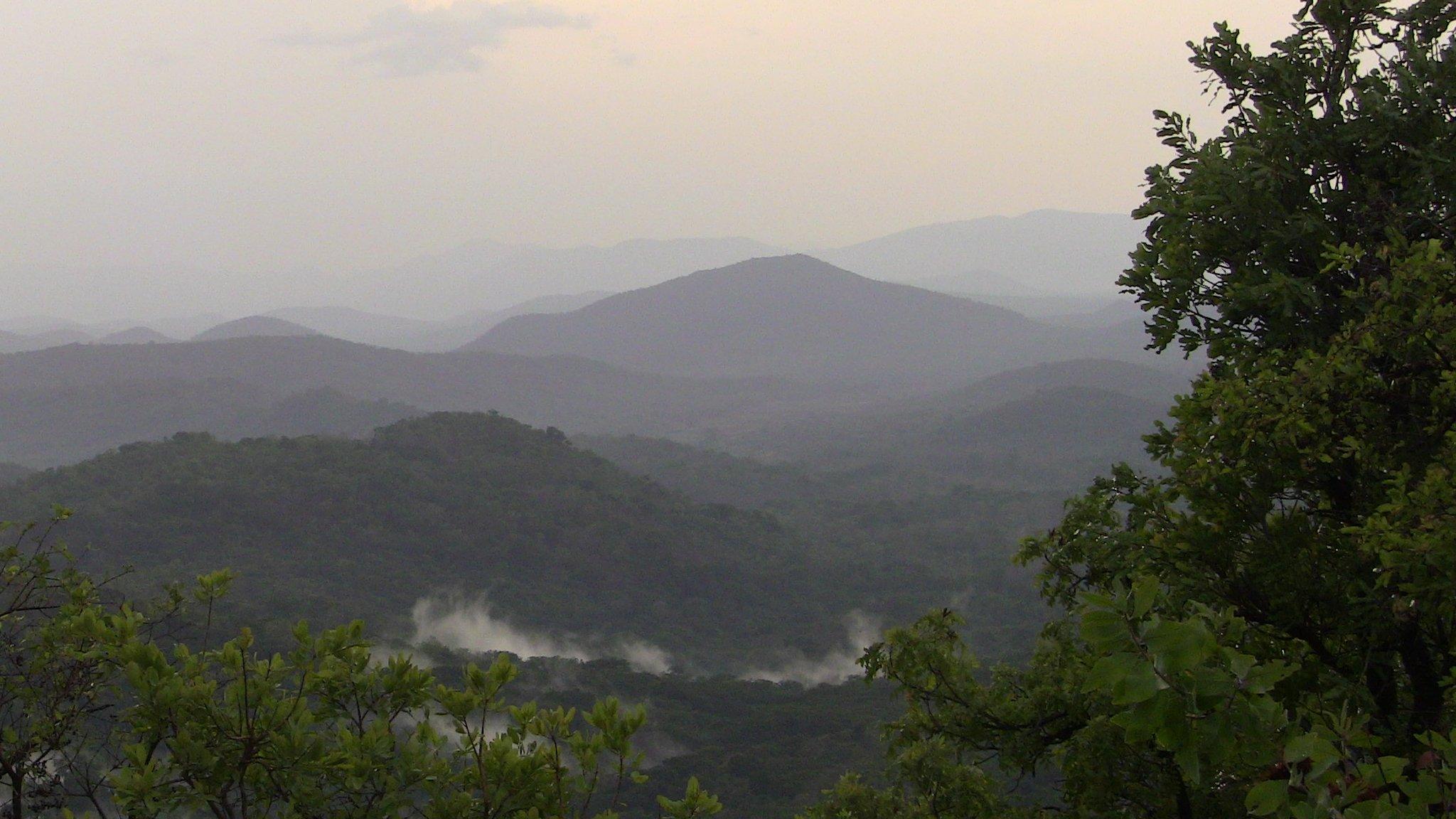 Gashaka Gumti National Park (Image: Chester Zoo)