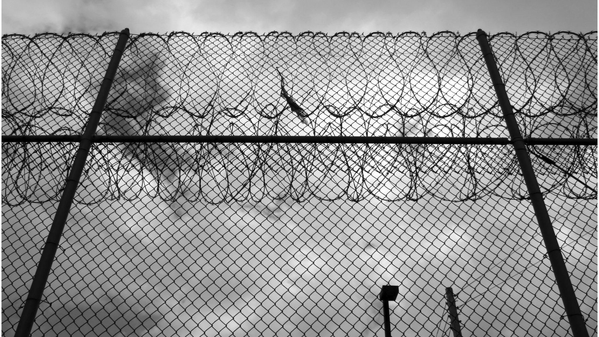 Barbed-wired fence