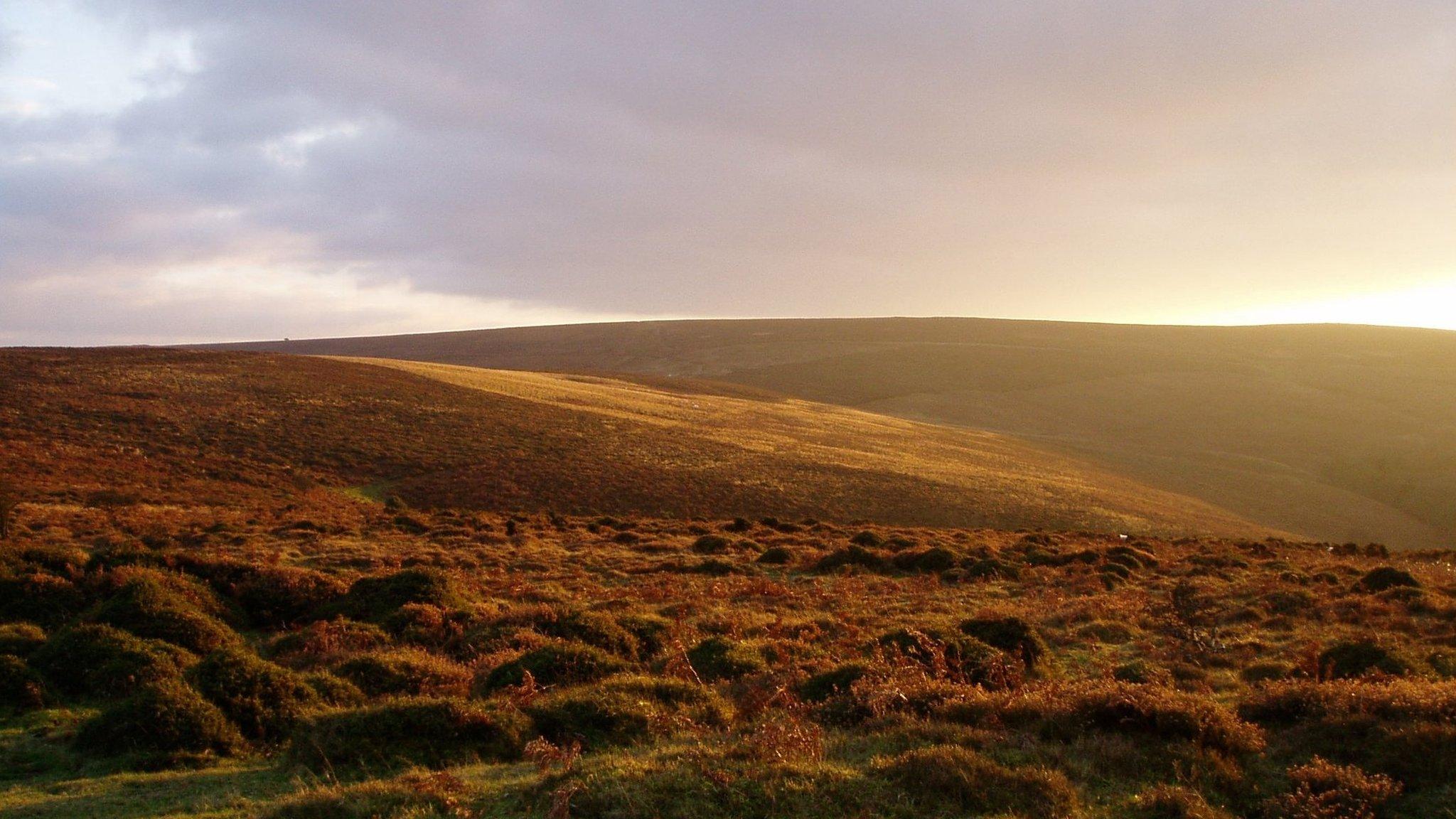 Hare Knaps on the Quantock Hills