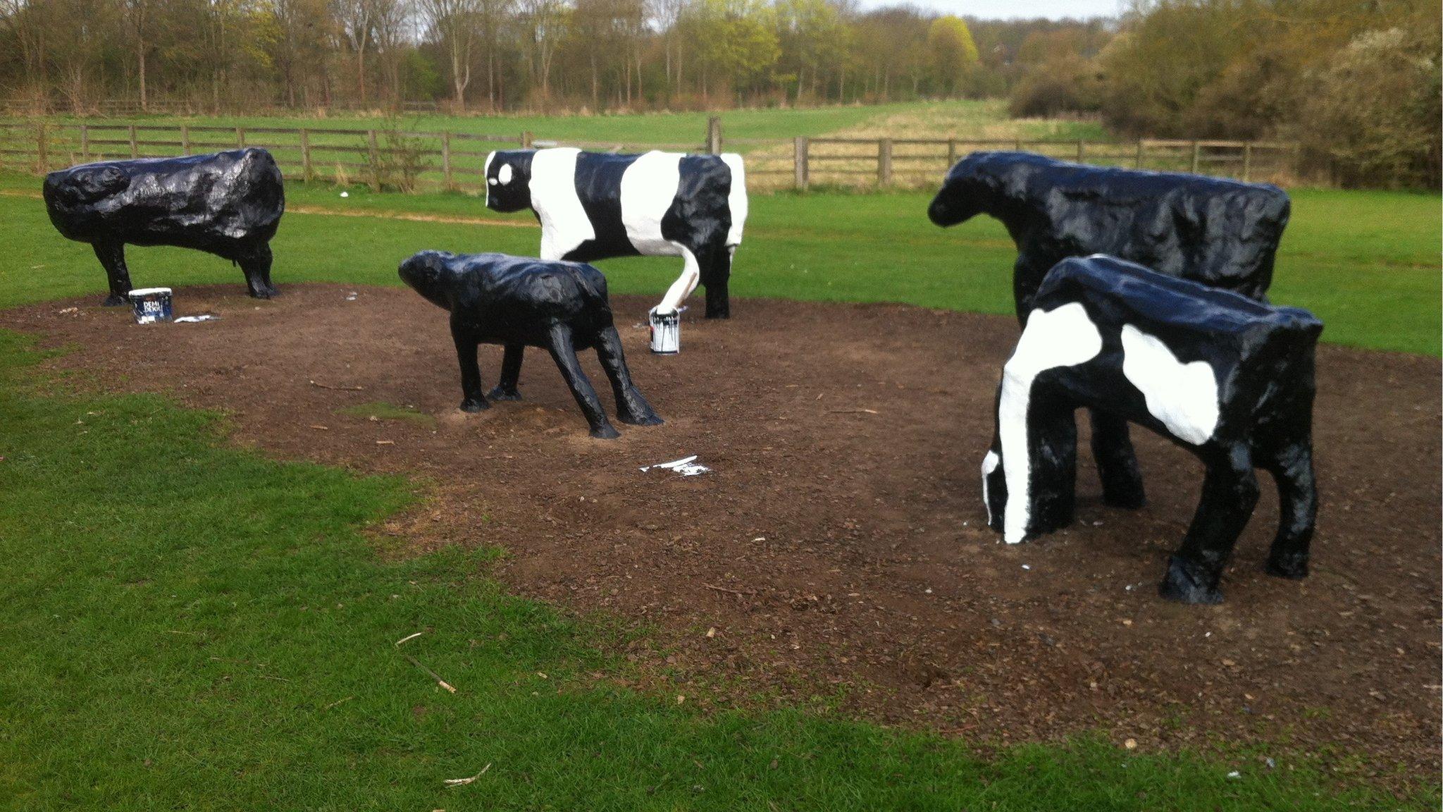 Milton Keynes cows being repainted